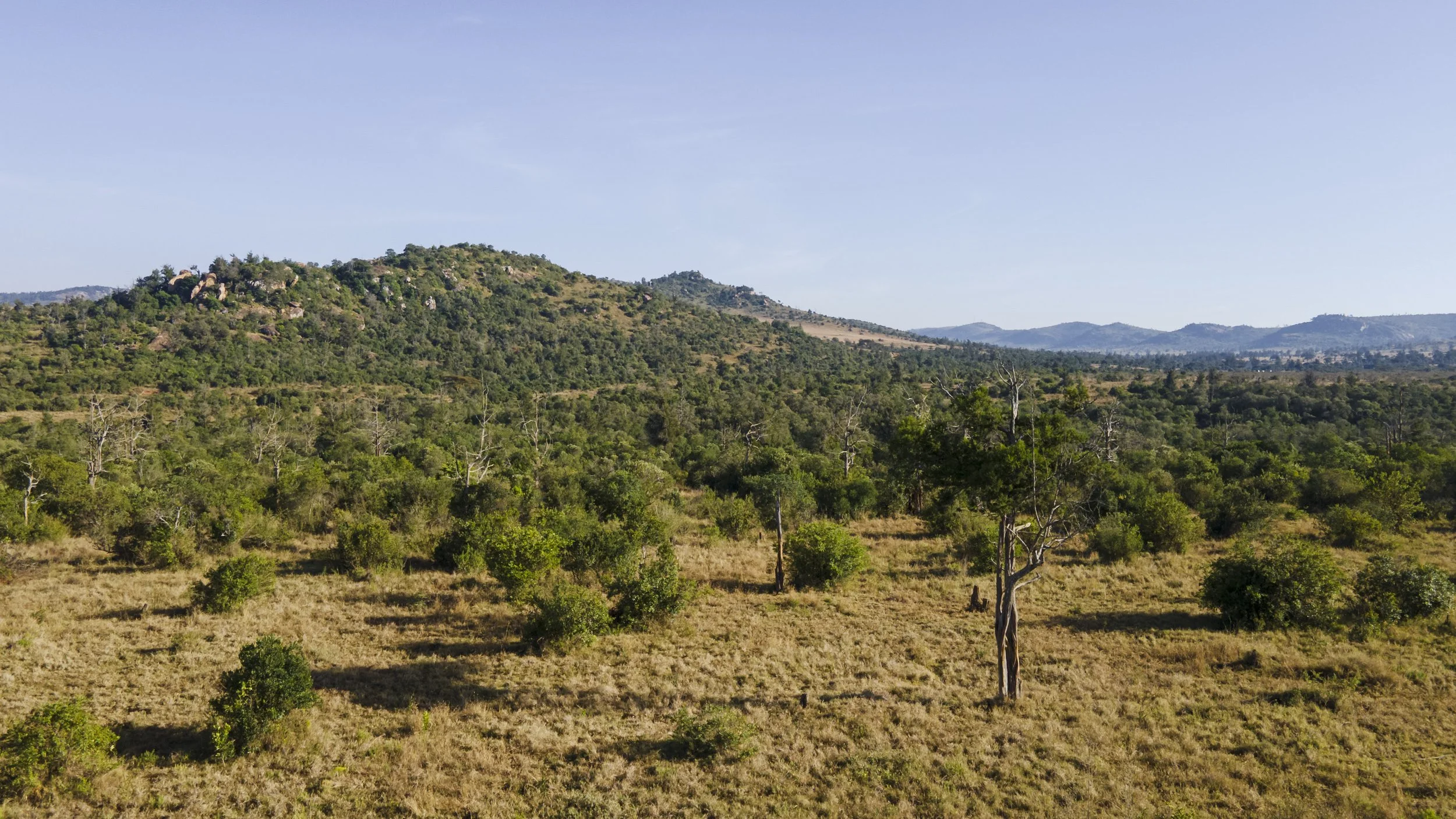 DJI_0543.jpg