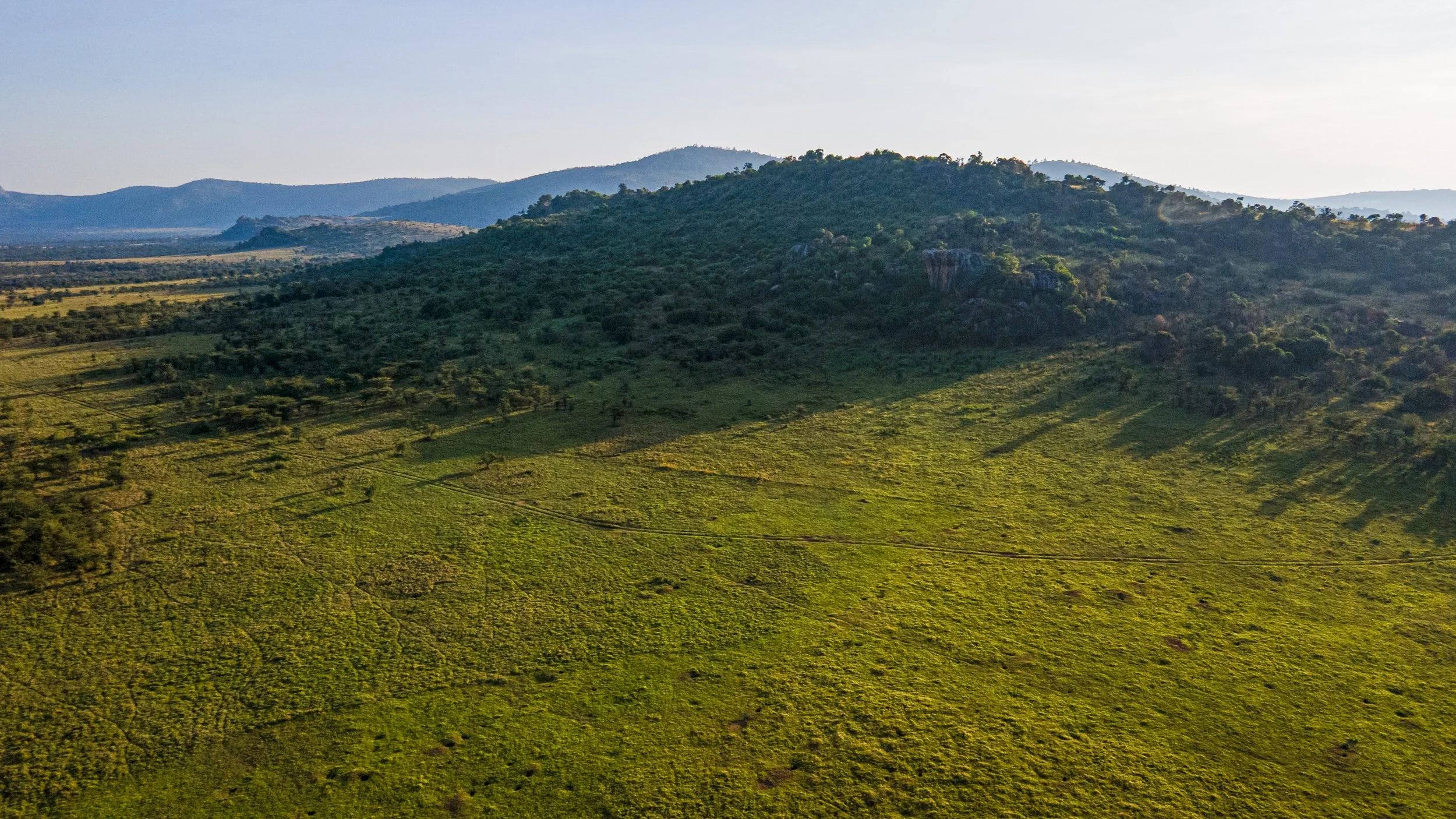 DJI_0988.jpg