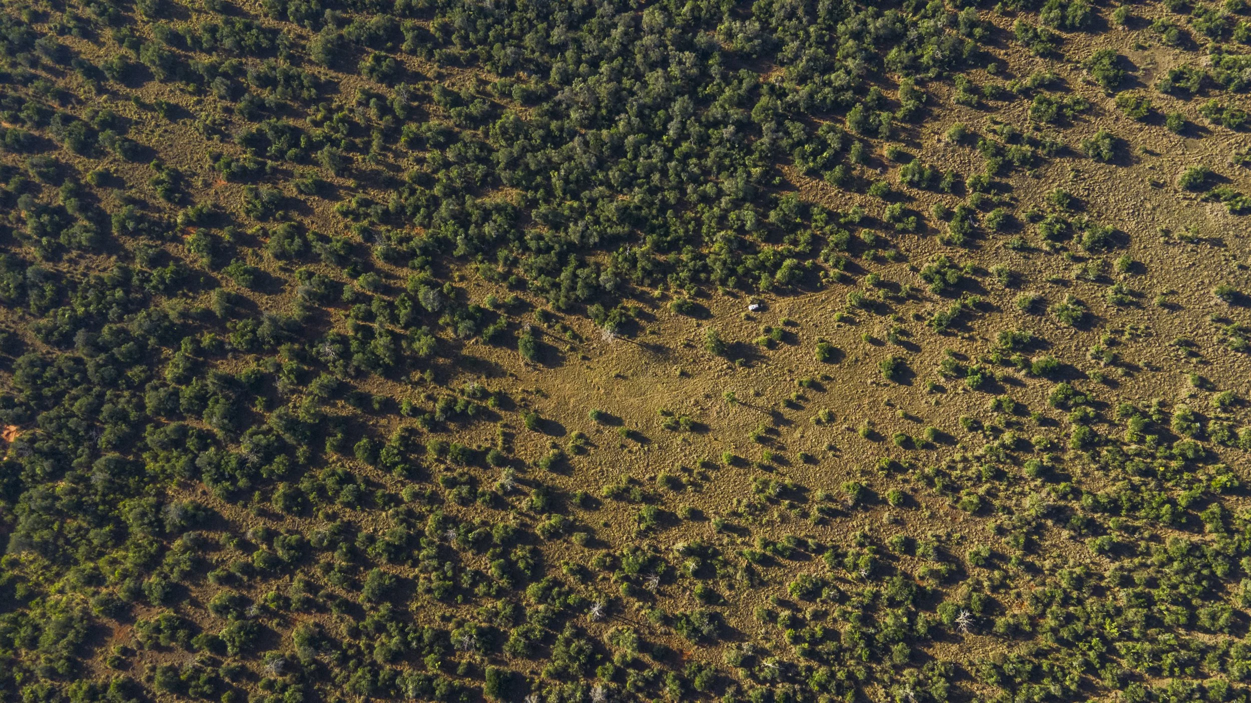 DJI_0534.jpg