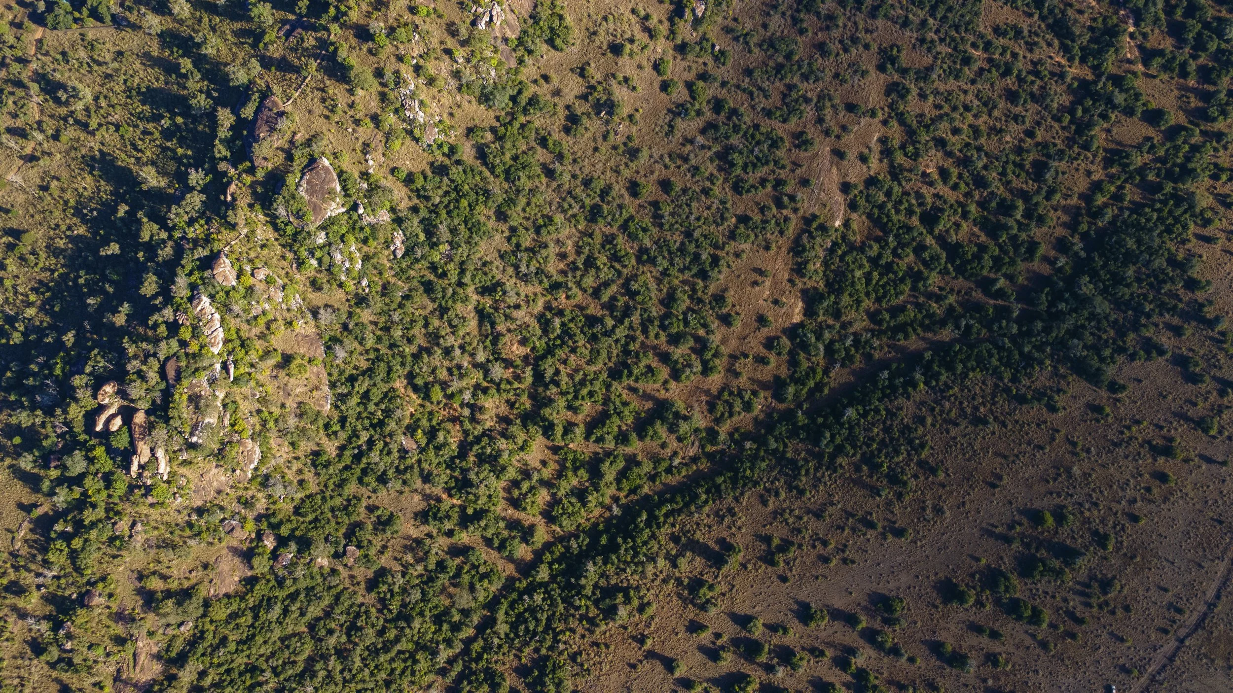 DJI_0308.jpg