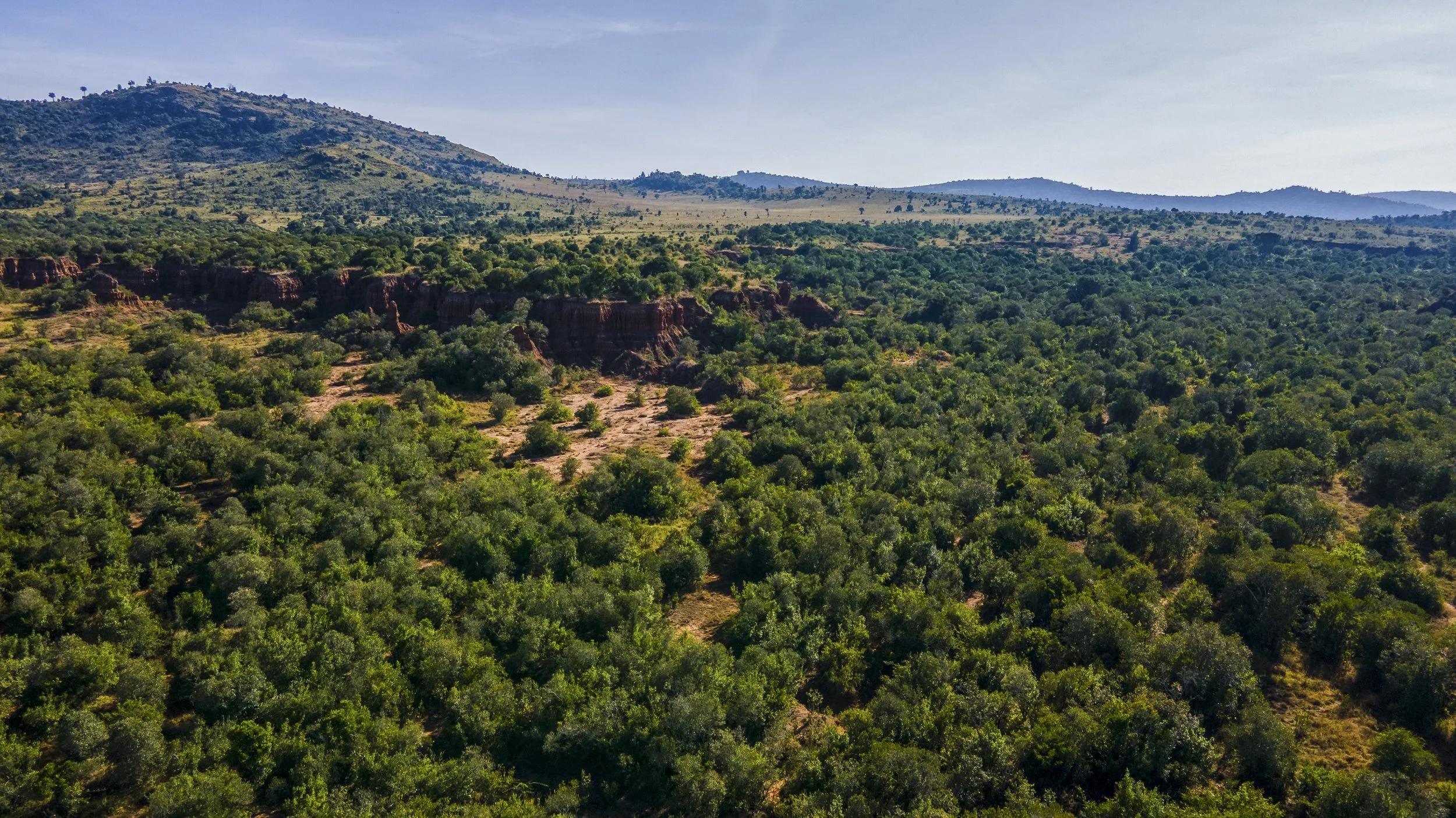 DJI_0257.jpg