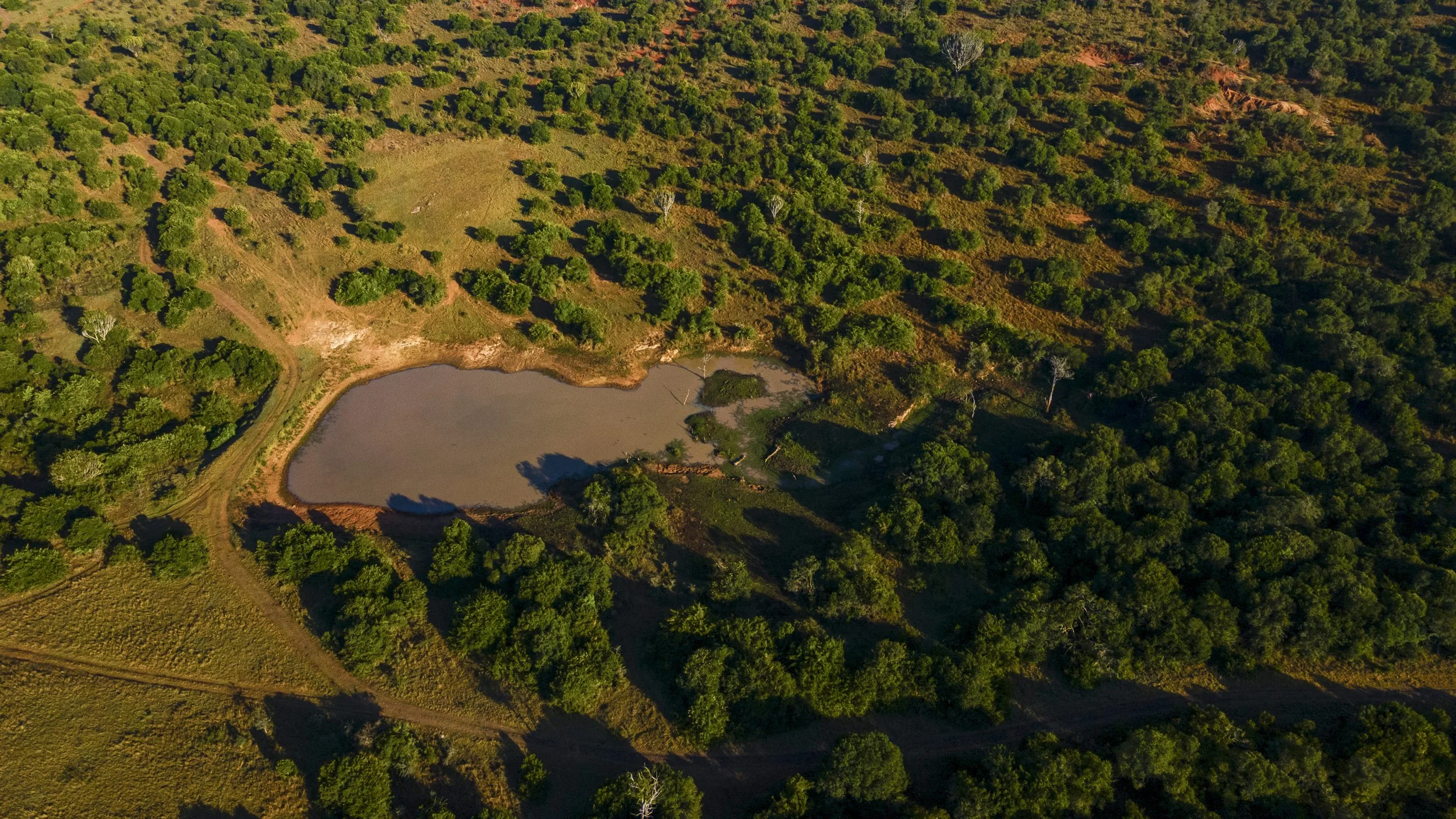 DJI_0076.jpg