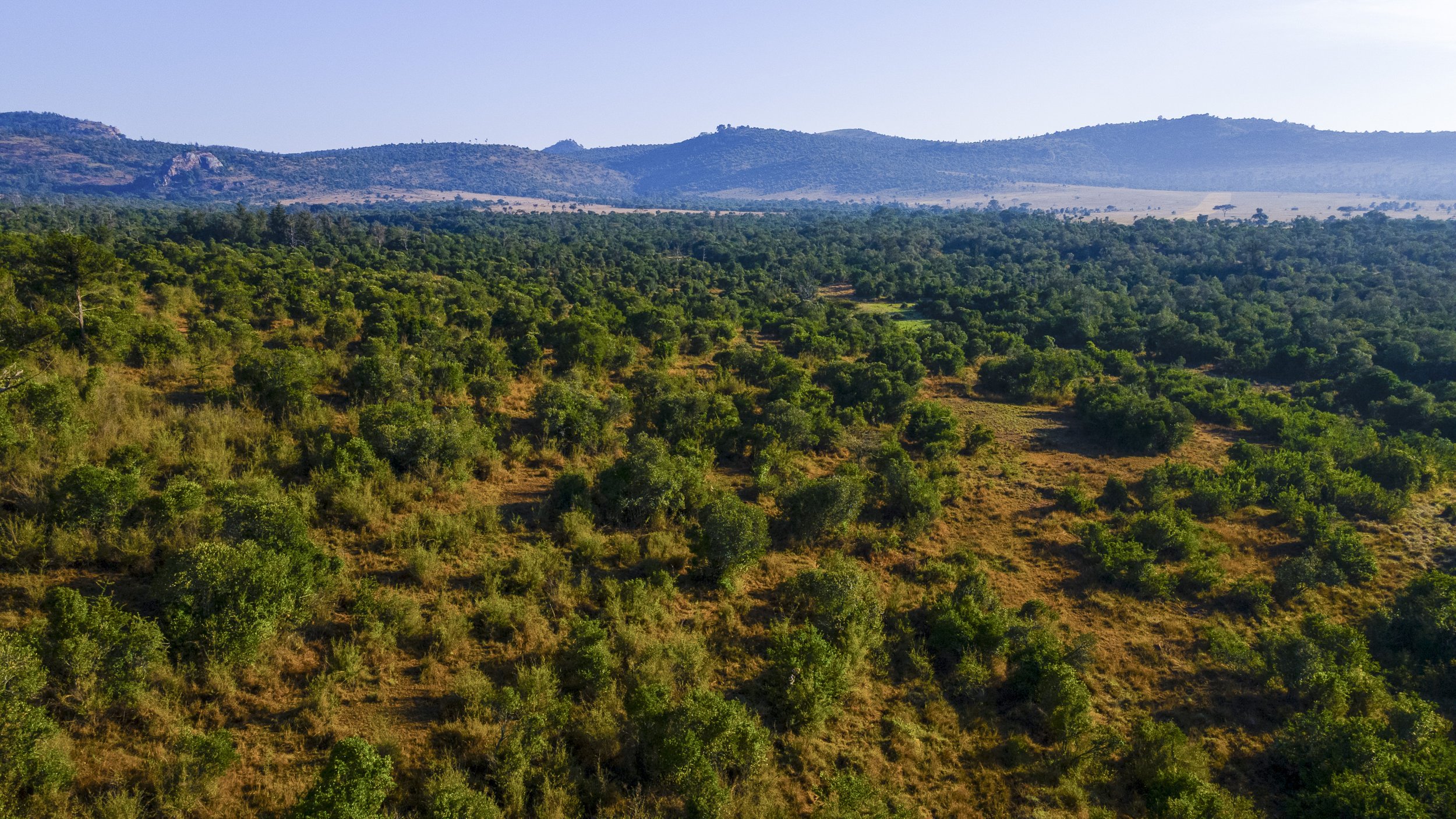 DJI_0092.jpg