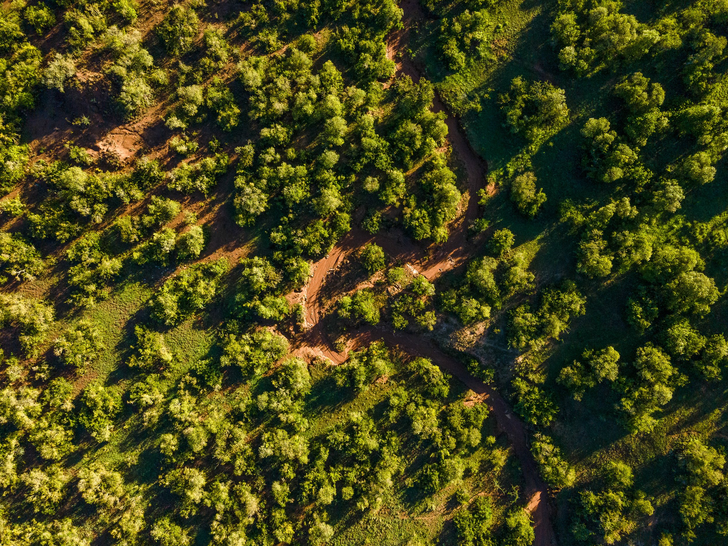 Lolldaigas-aerial-stills-1-27.jpg