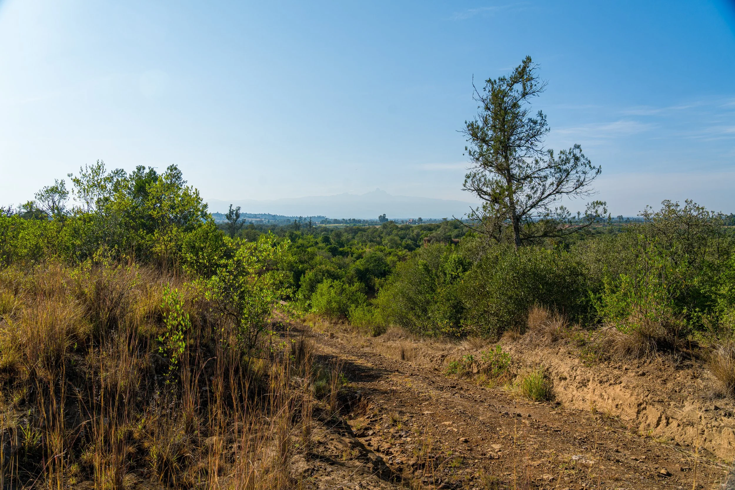 A7400557.jpg