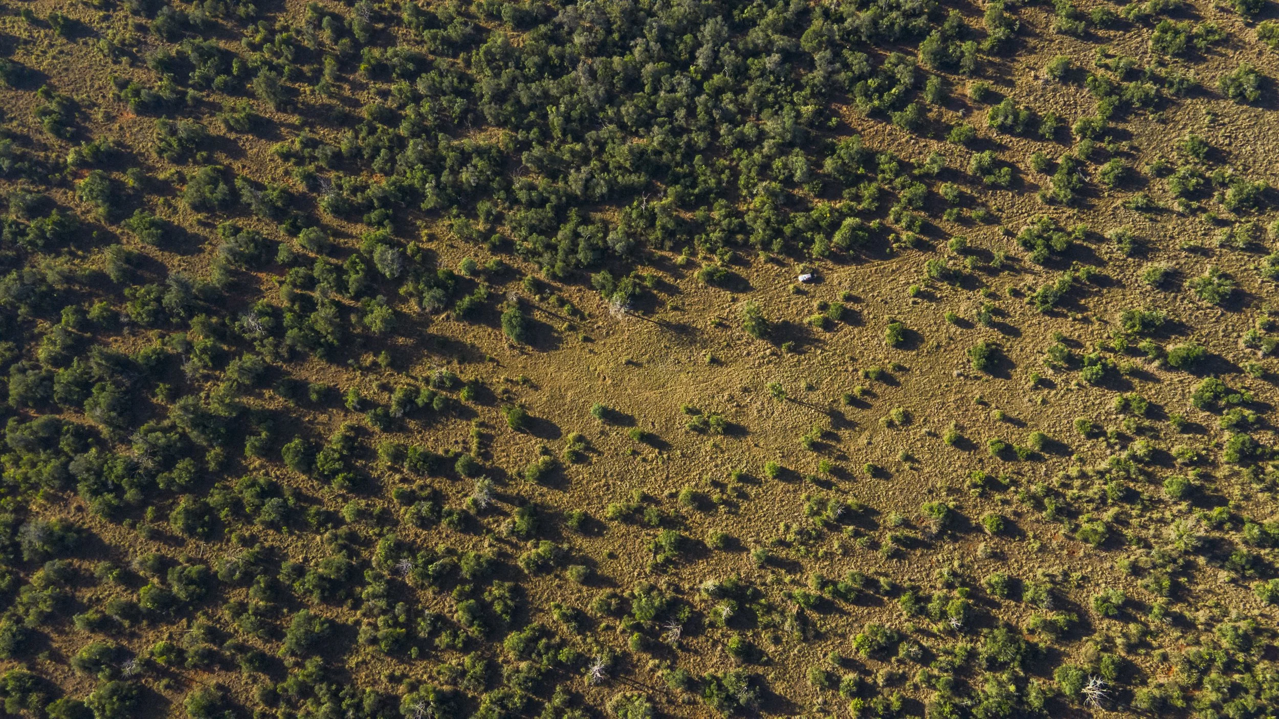 DJI_0524.jpg