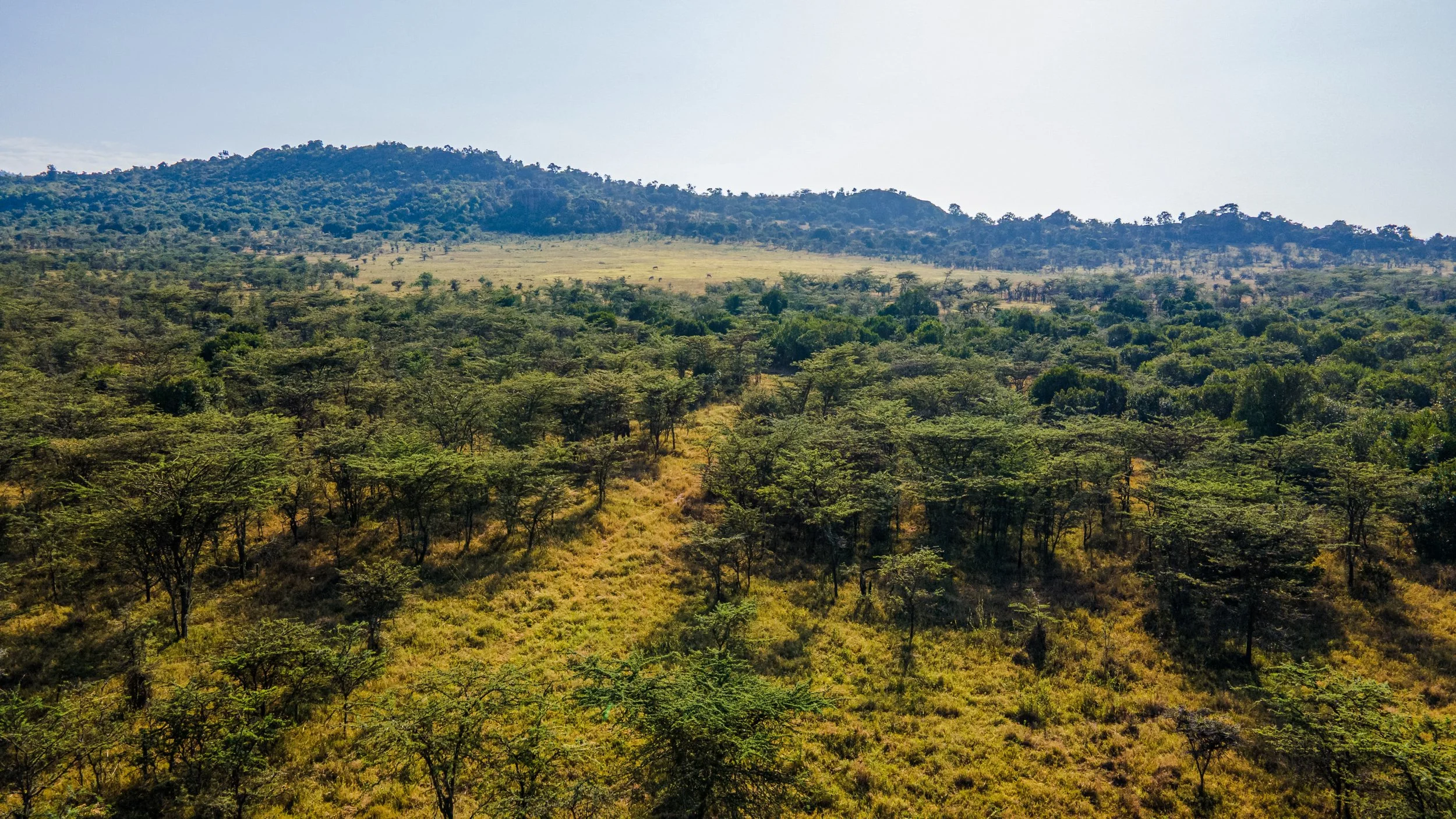 DJI_0834.jpg