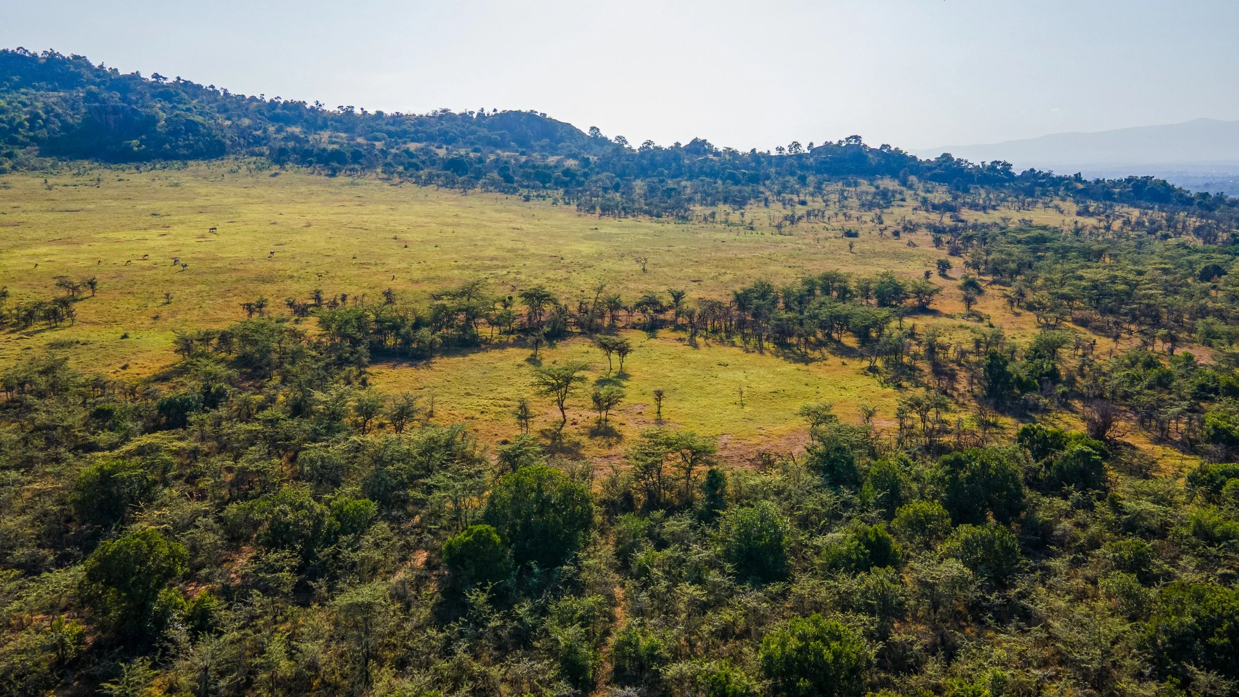 DJI_0837.jpg