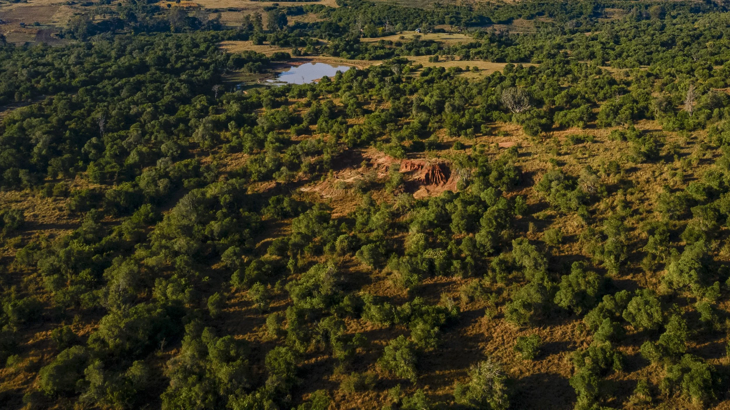 DJI_0064.jpg
