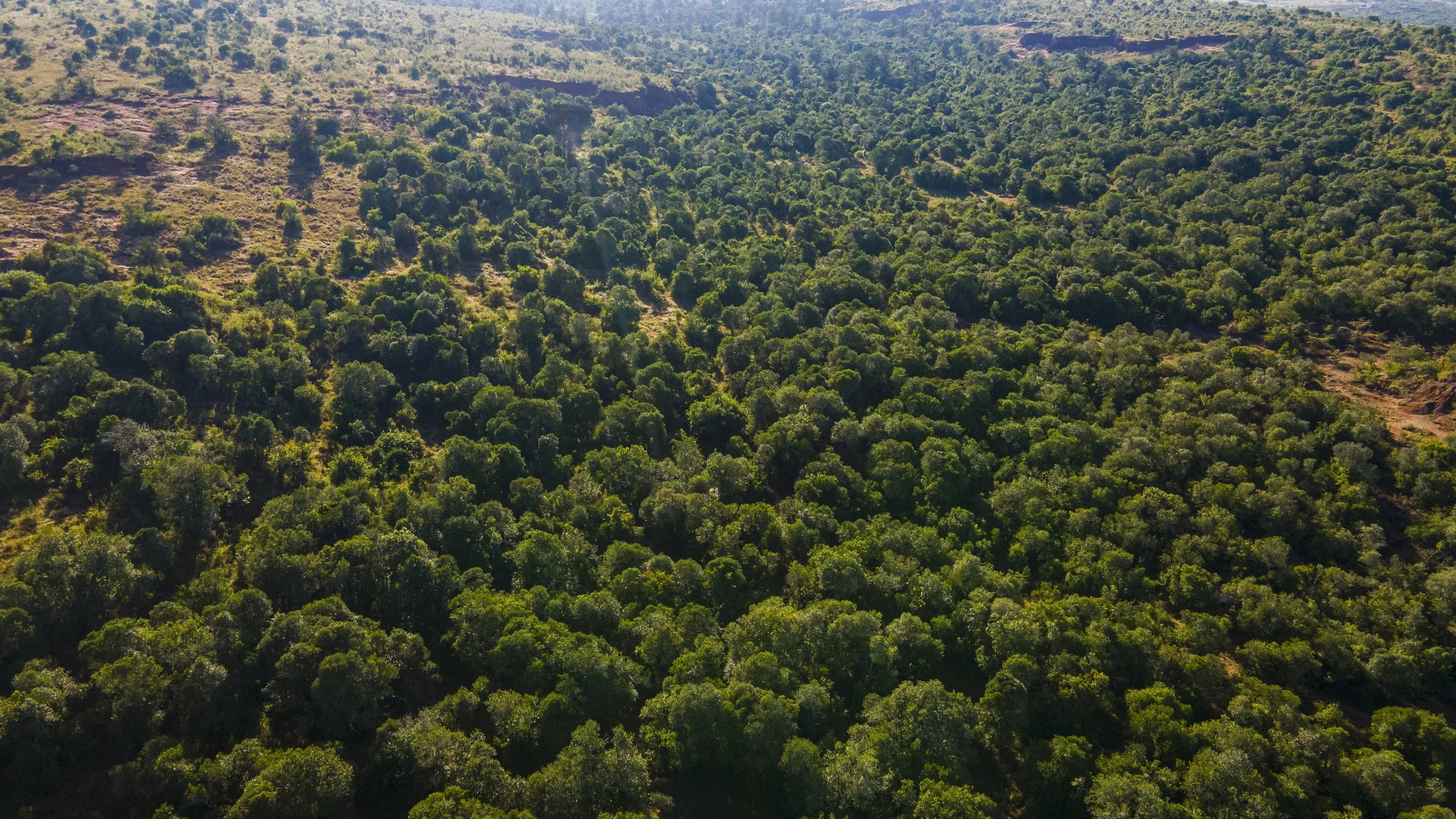 DJI_0206.jpg