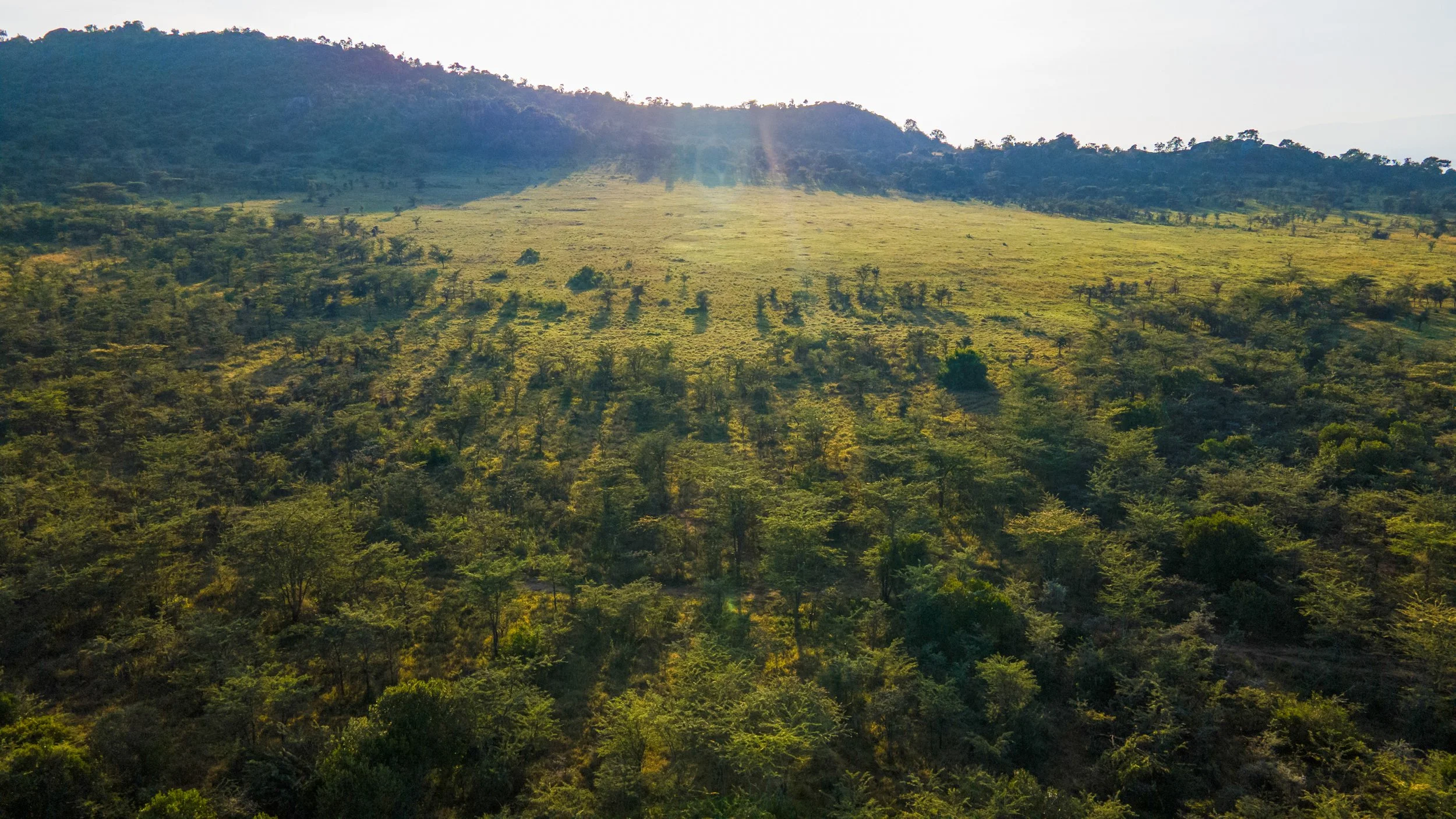 DJI_0966.jpg