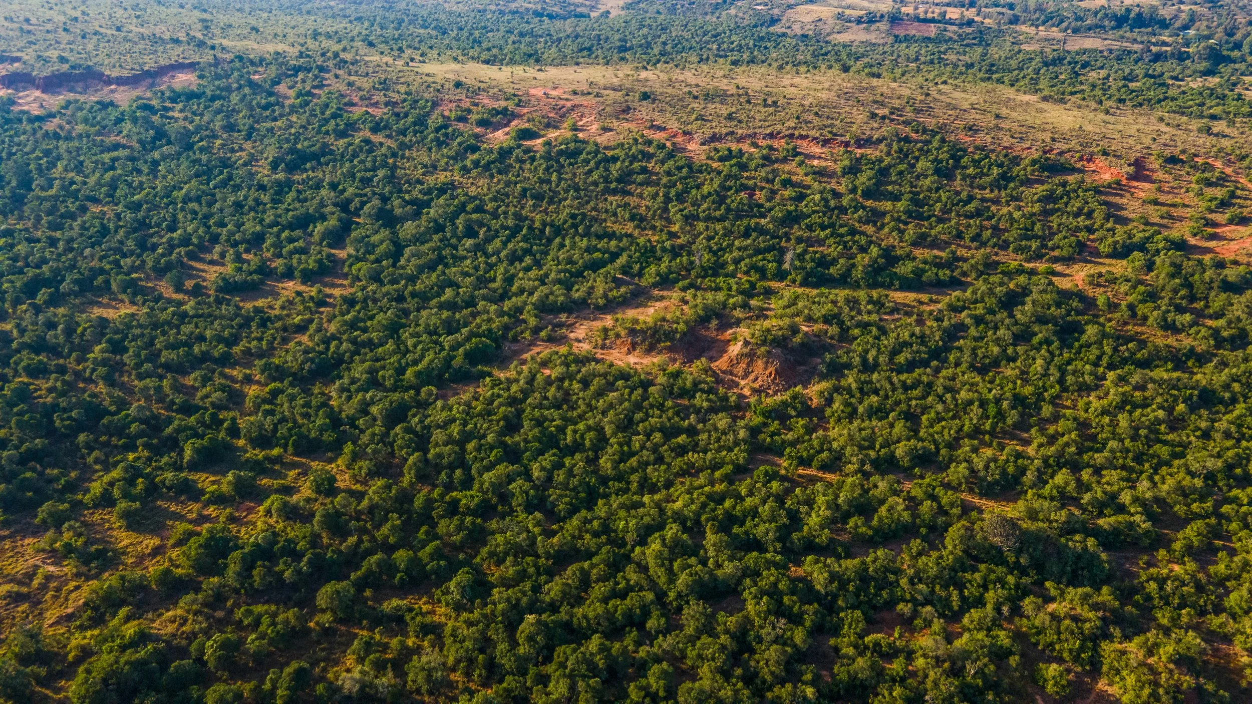 DJI_0739.jpg