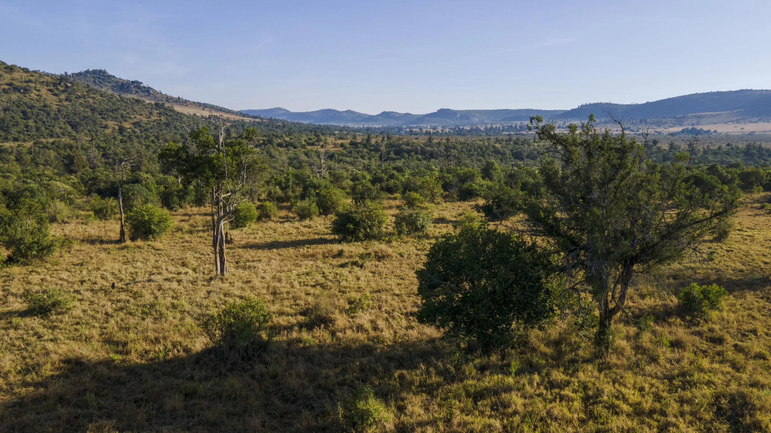 DJI_0483.jpg
