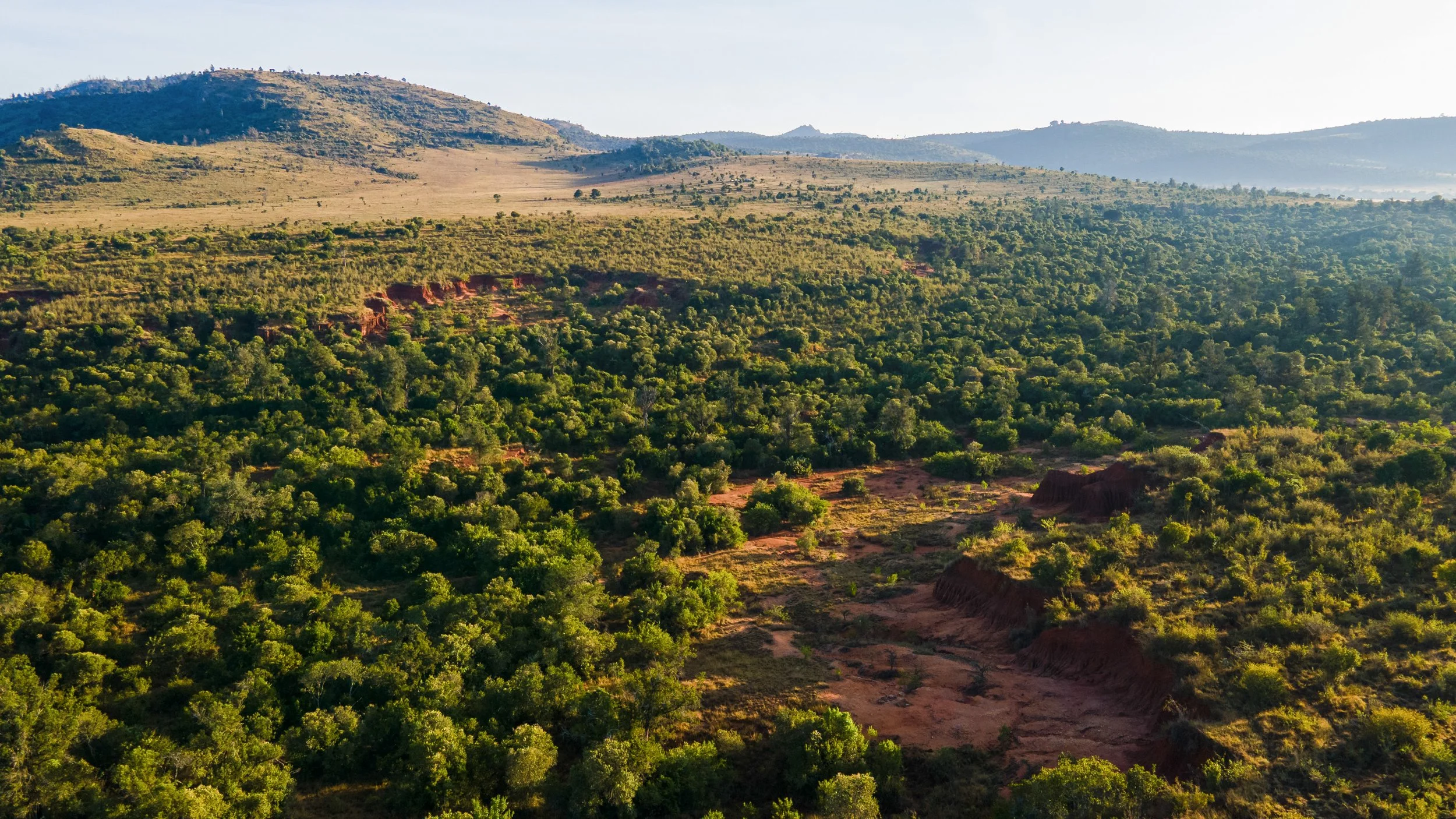 DJI_0162.jpg