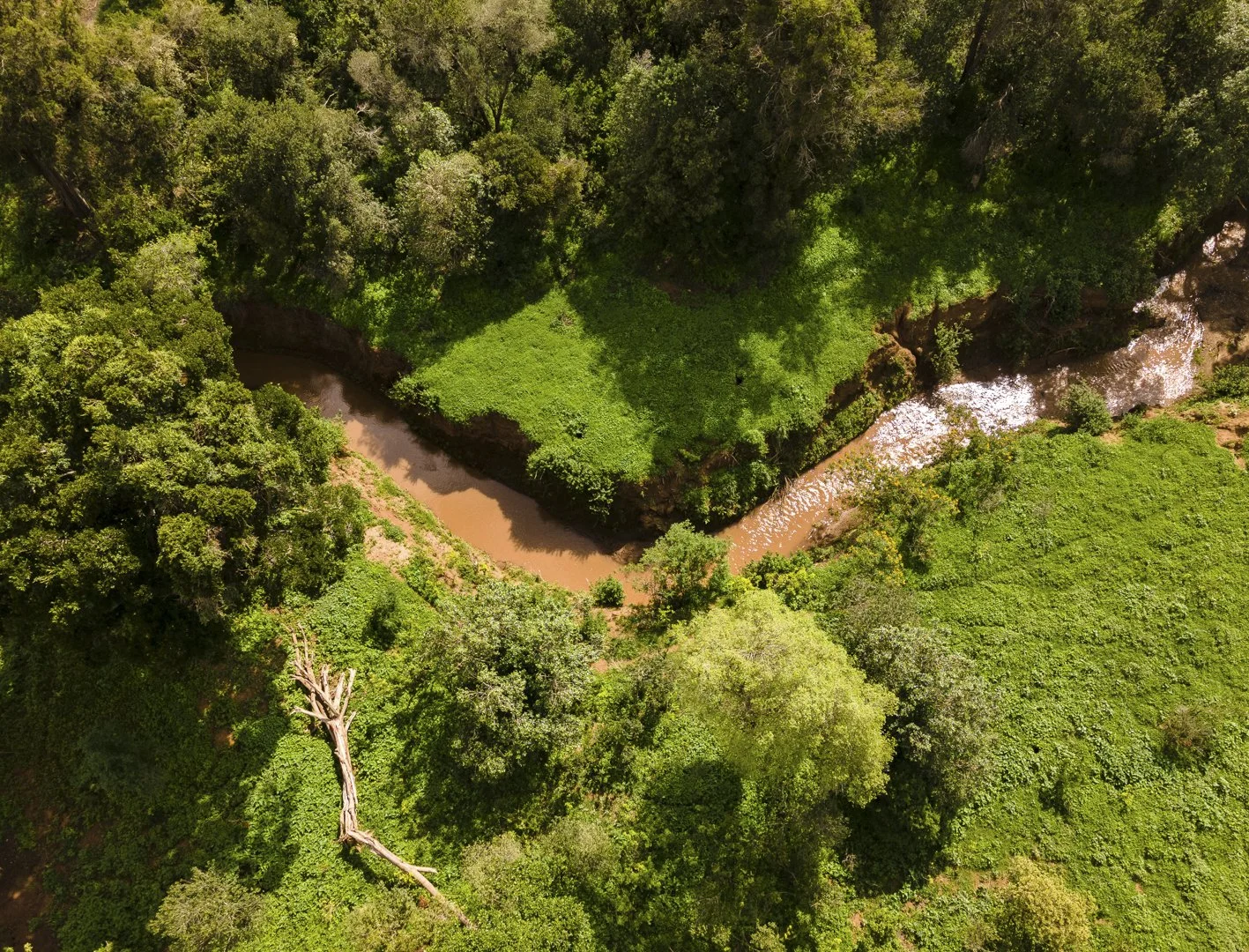 Lolldaigas-aerial-stills-1-12.jpg