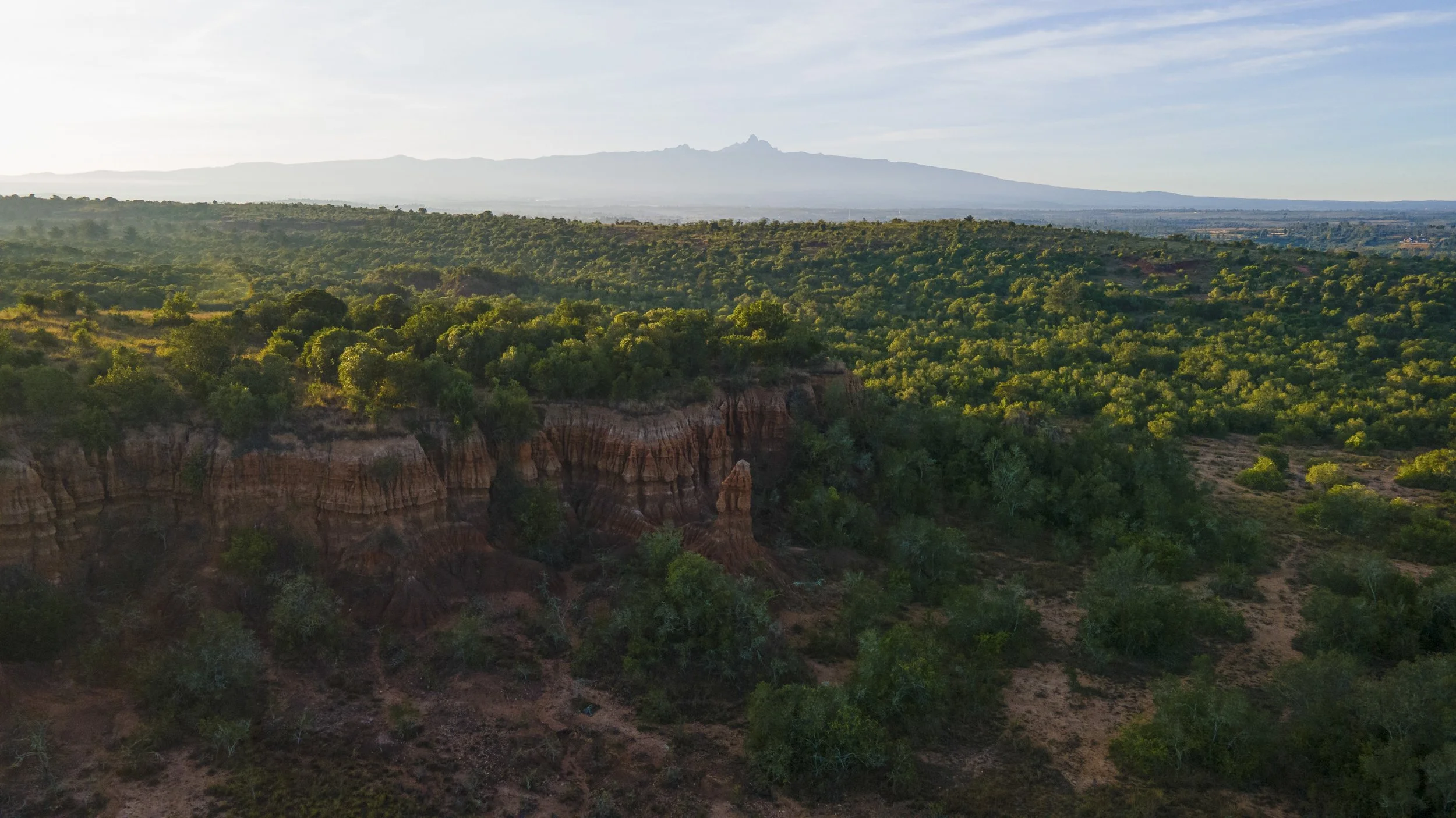 DJI_0138.jpg
