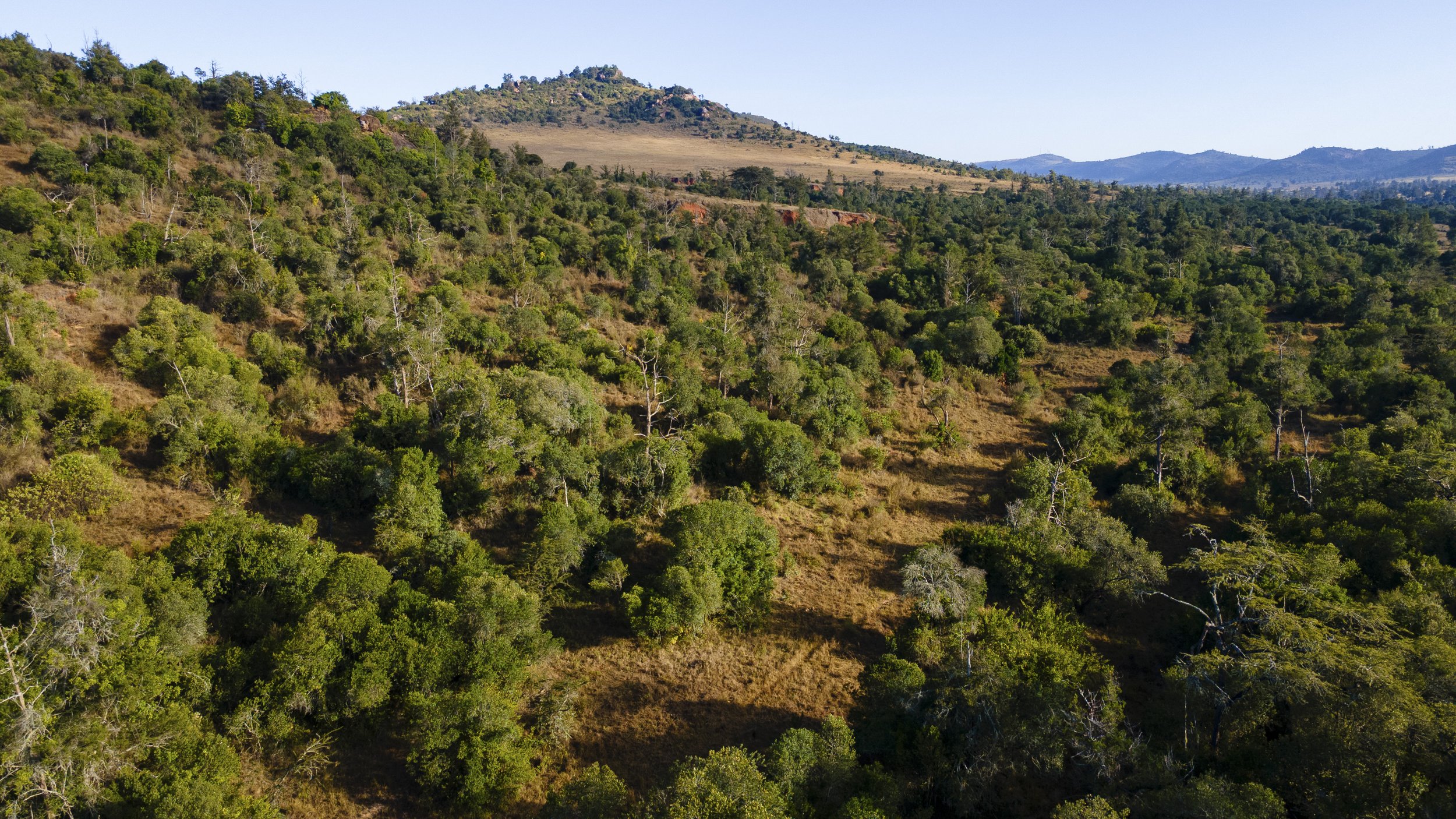 DJI_0286.jpg