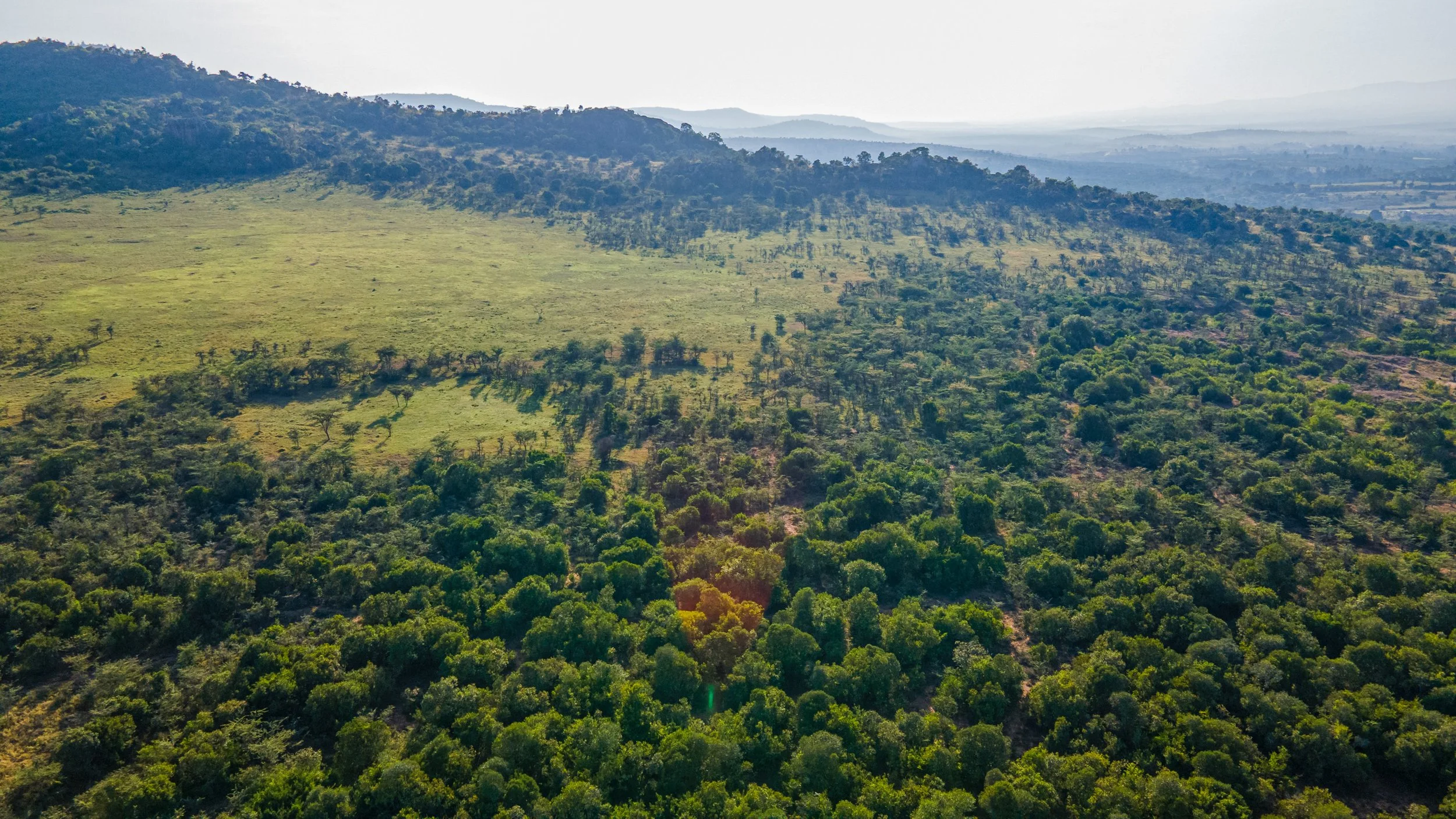 DJI_0113.jpg
