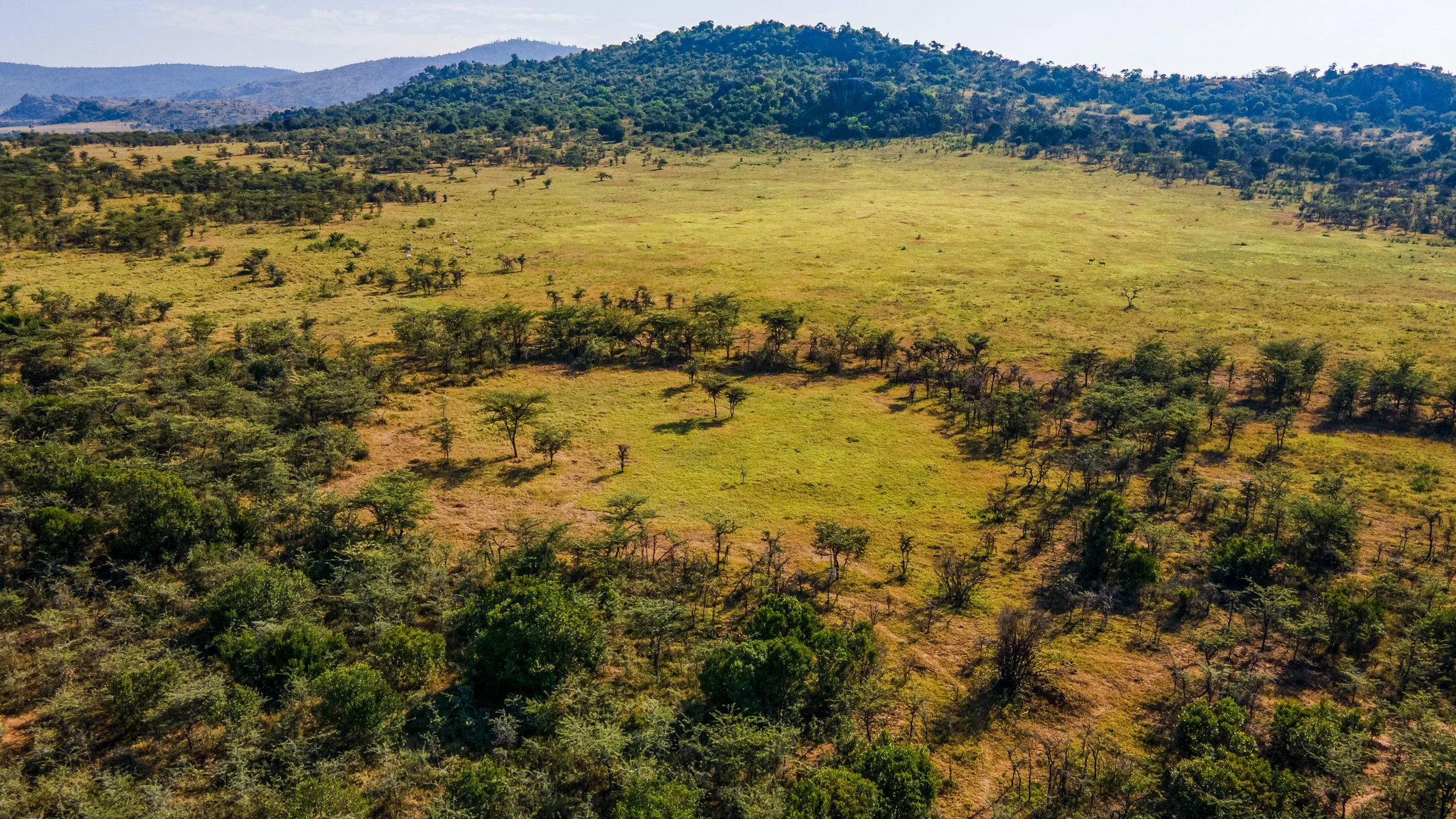 DJI_0918.jpg