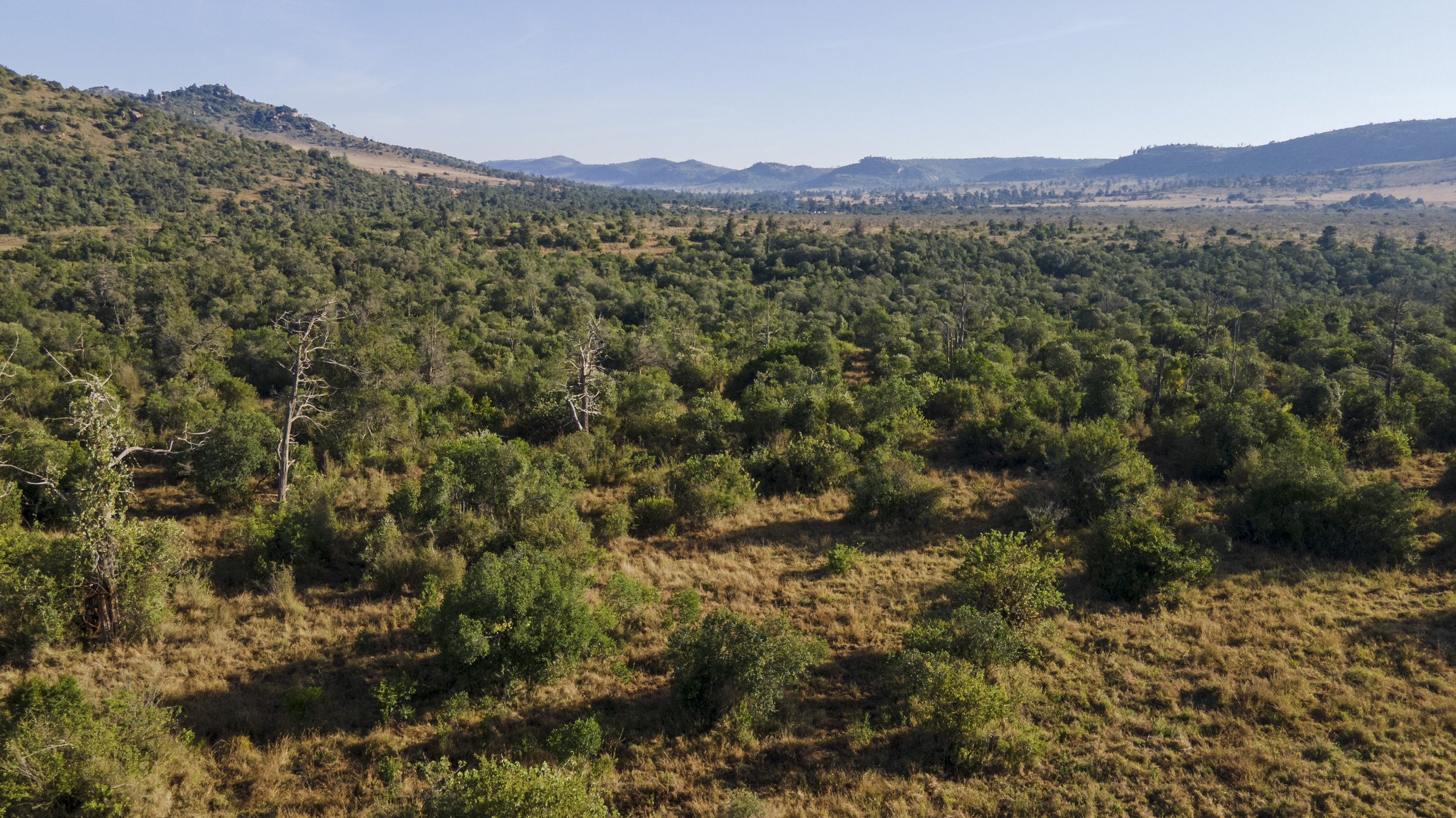 DJI_0493.jpg