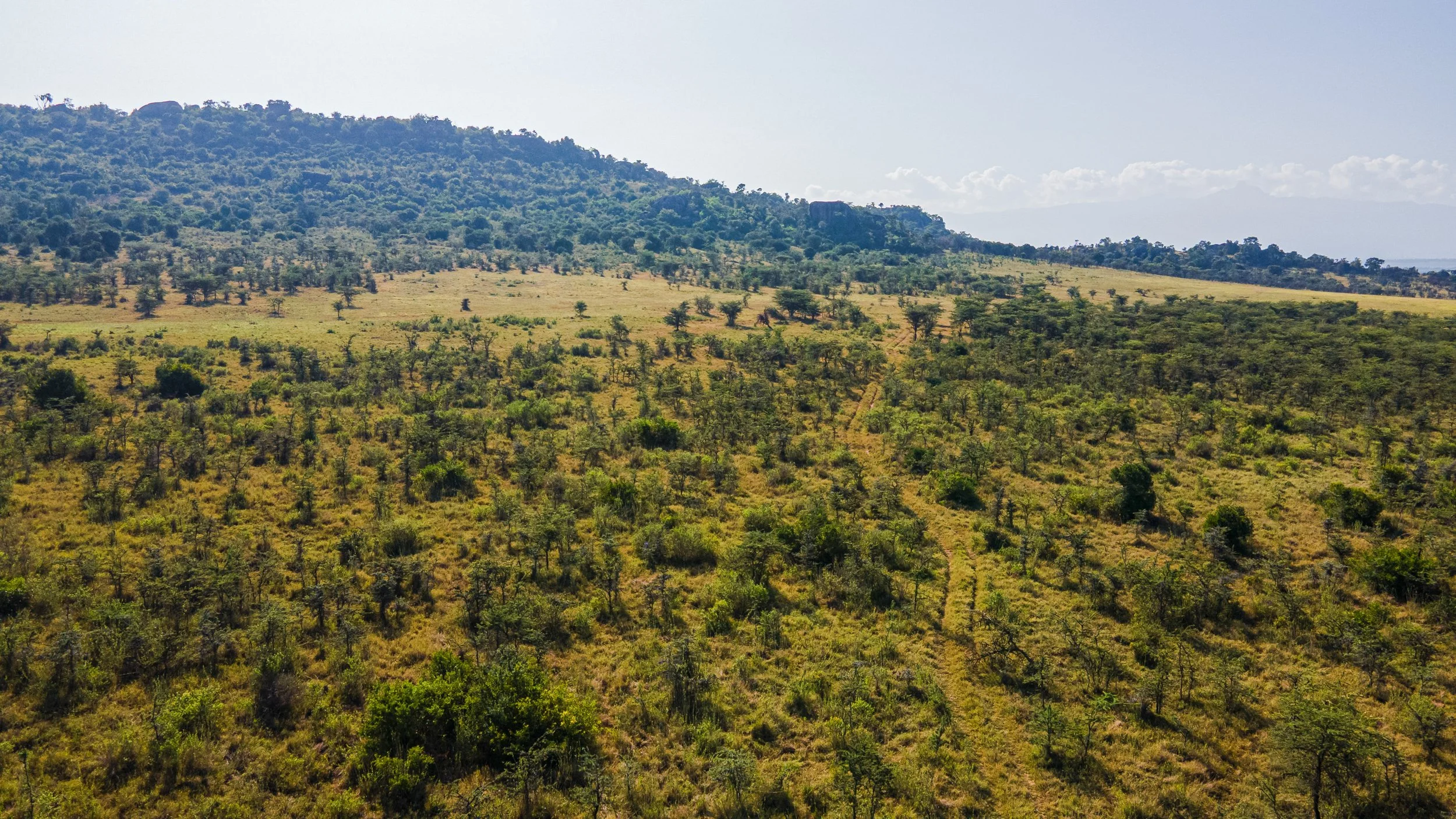 DJI_0880.jpg