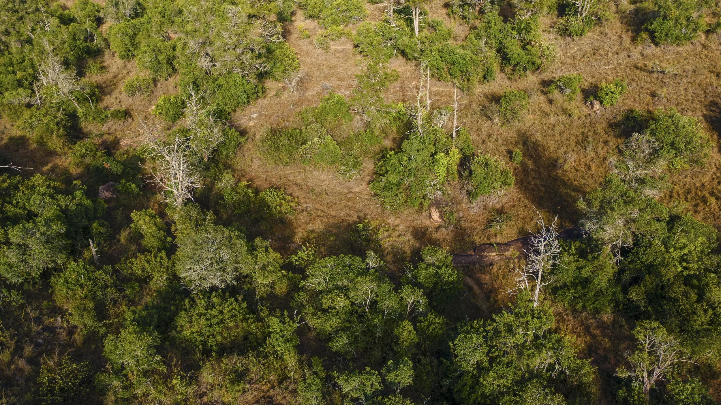 DJI_0290.jpg