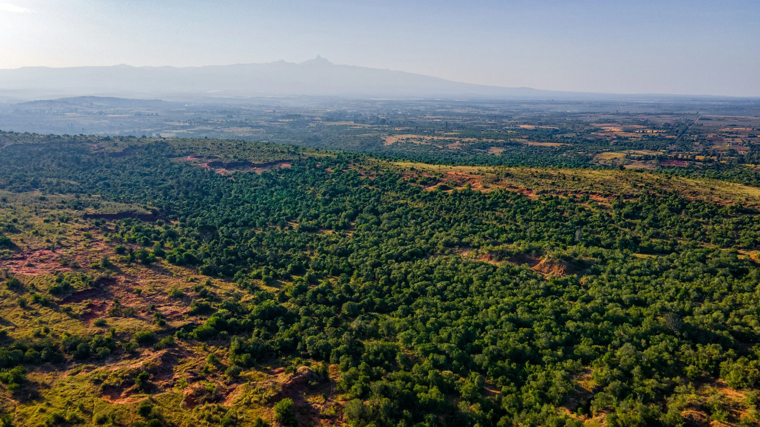 DJI_0741.jpg