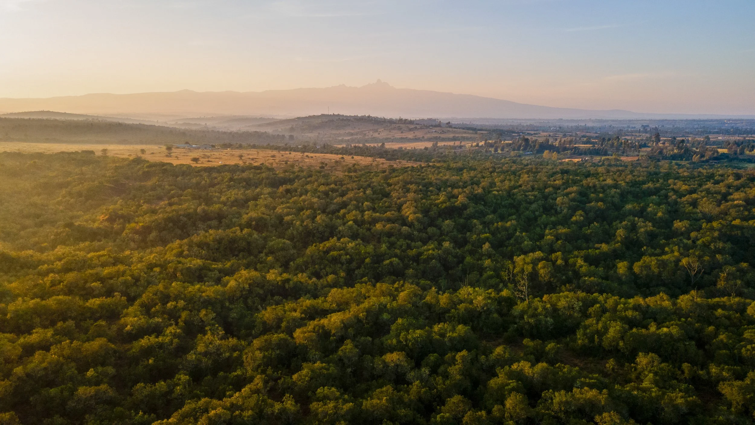 DJI_0994.jpg