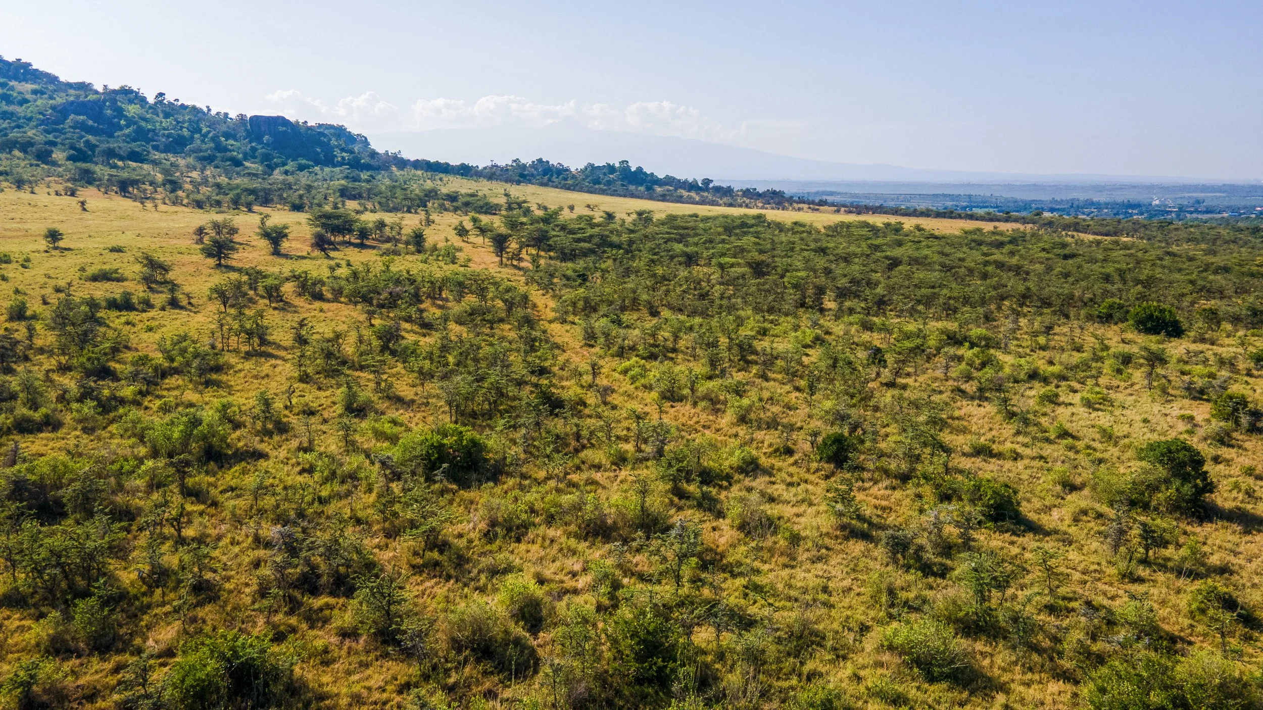 DJI_0888.jpg
