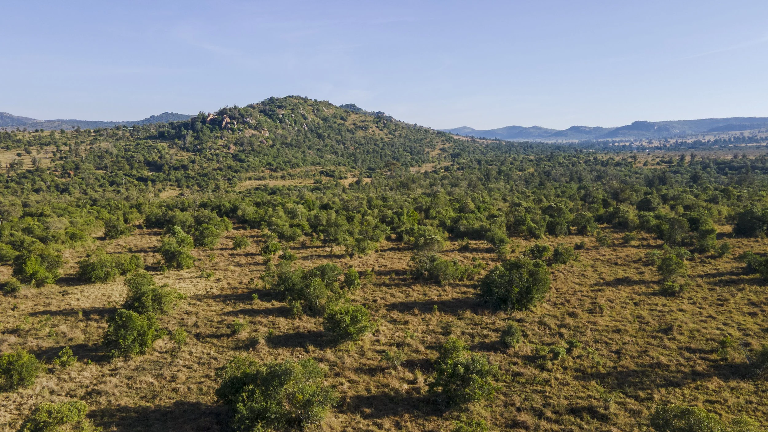 DJI_0505.jpg