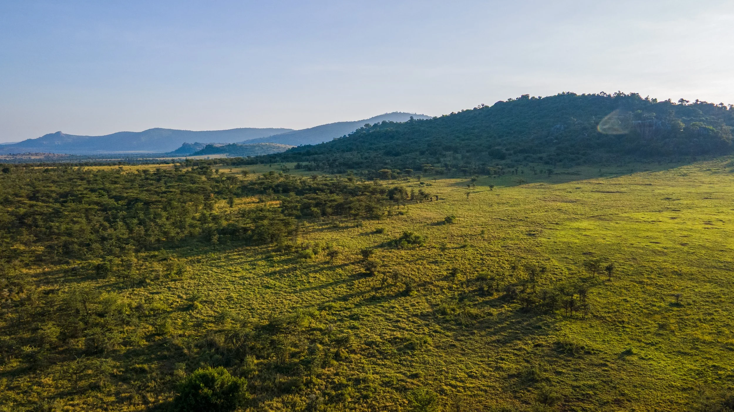 DJI_0977.jpg