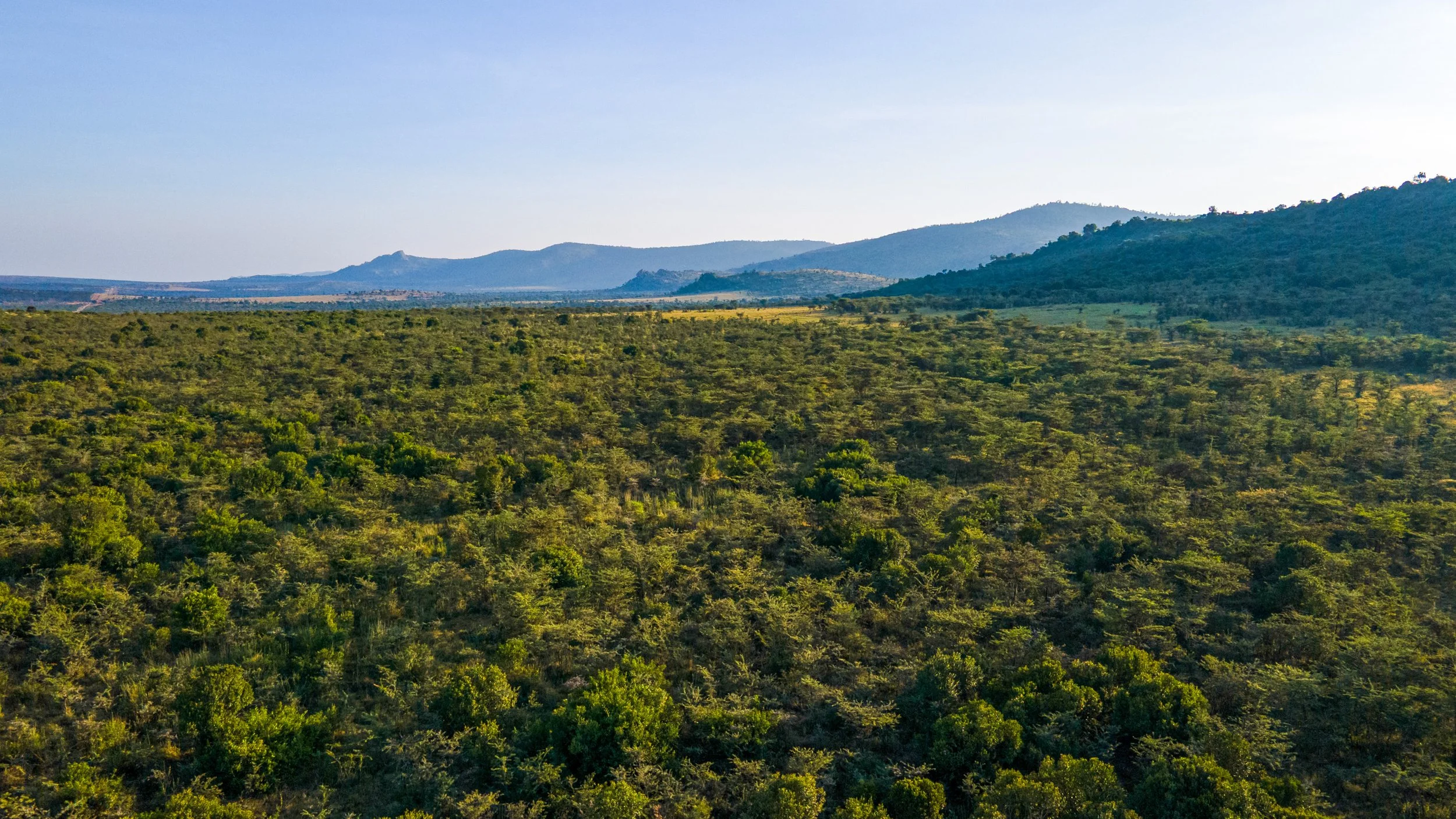 DJI_0963.jpg