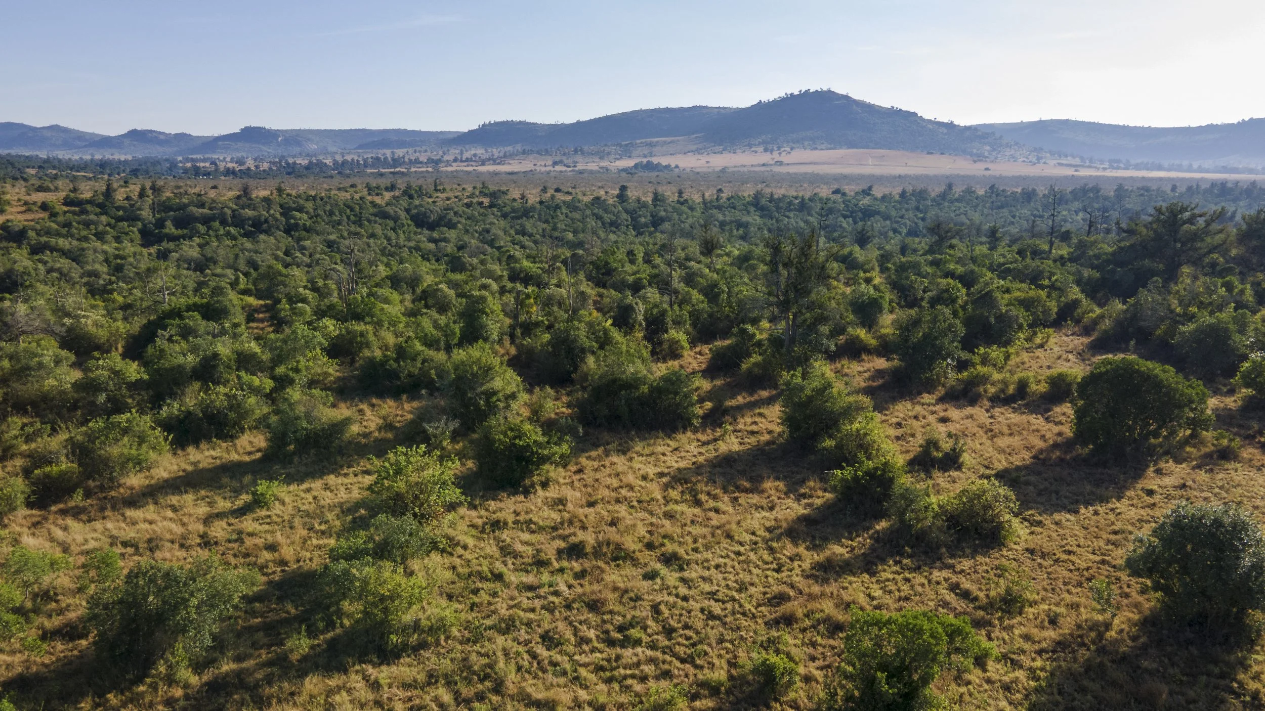 DJI_0494.jpg