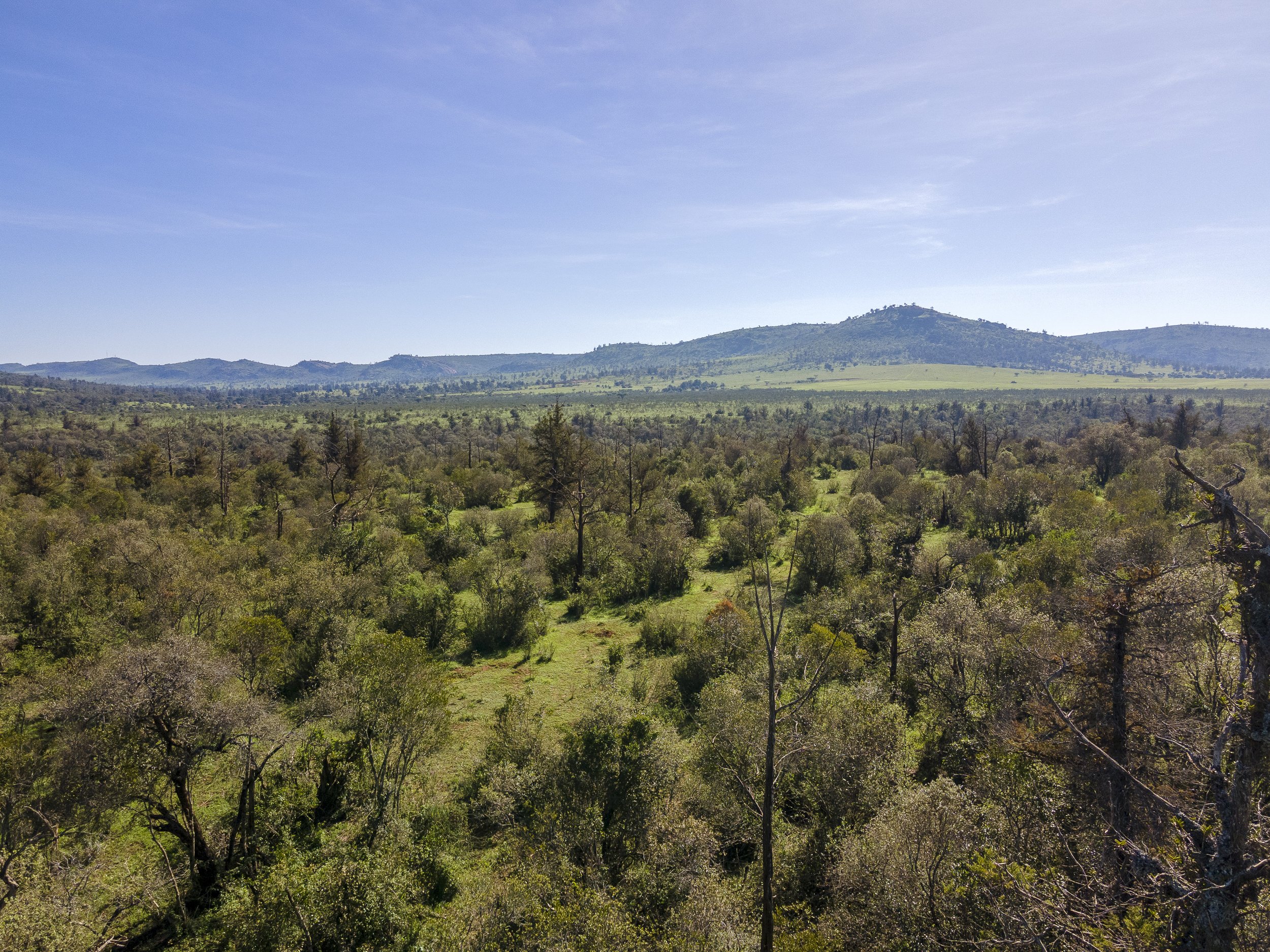 Lolldaigas-aerial-stills-1-82.jpg