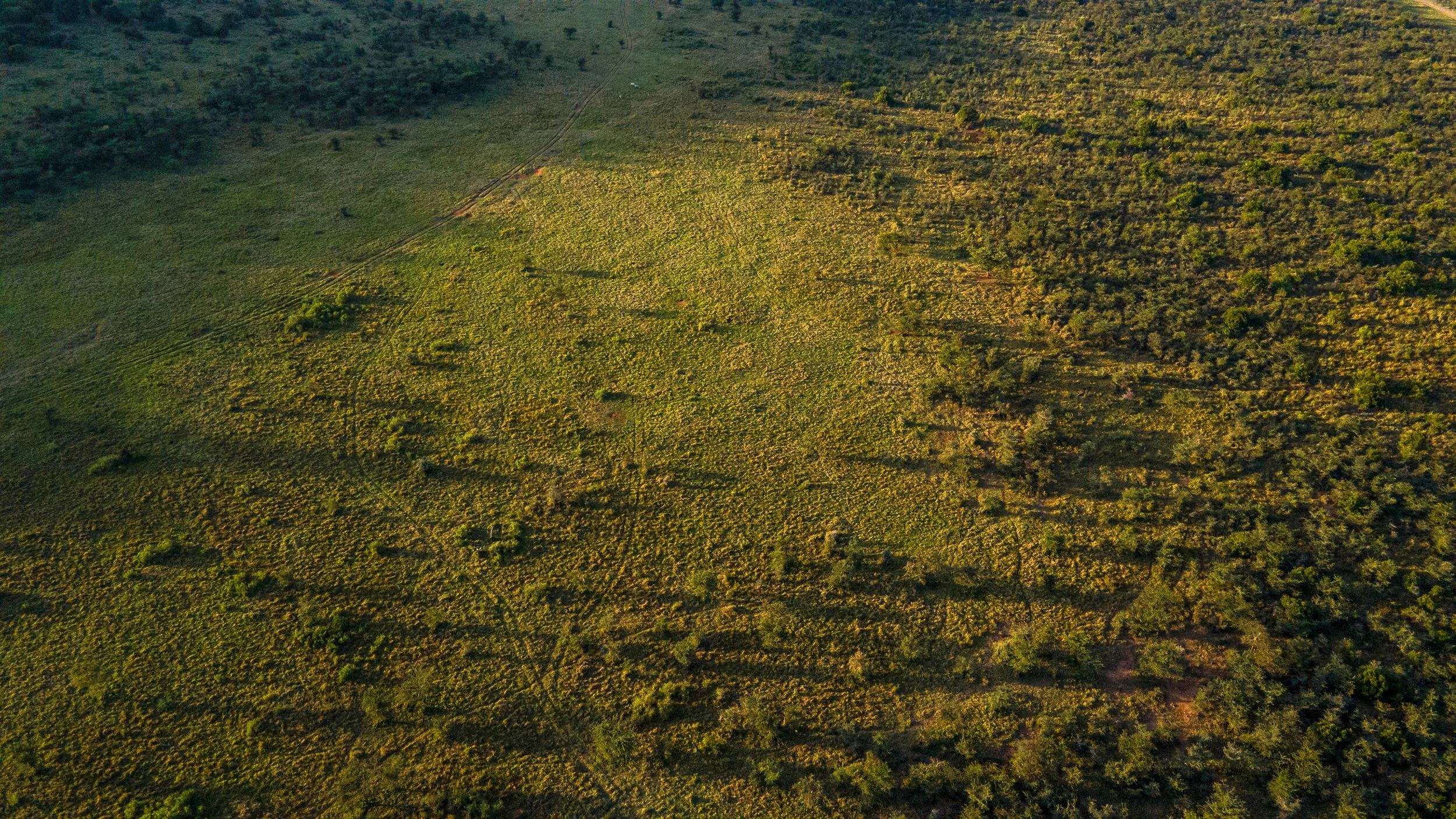 DJI_0940.jpg