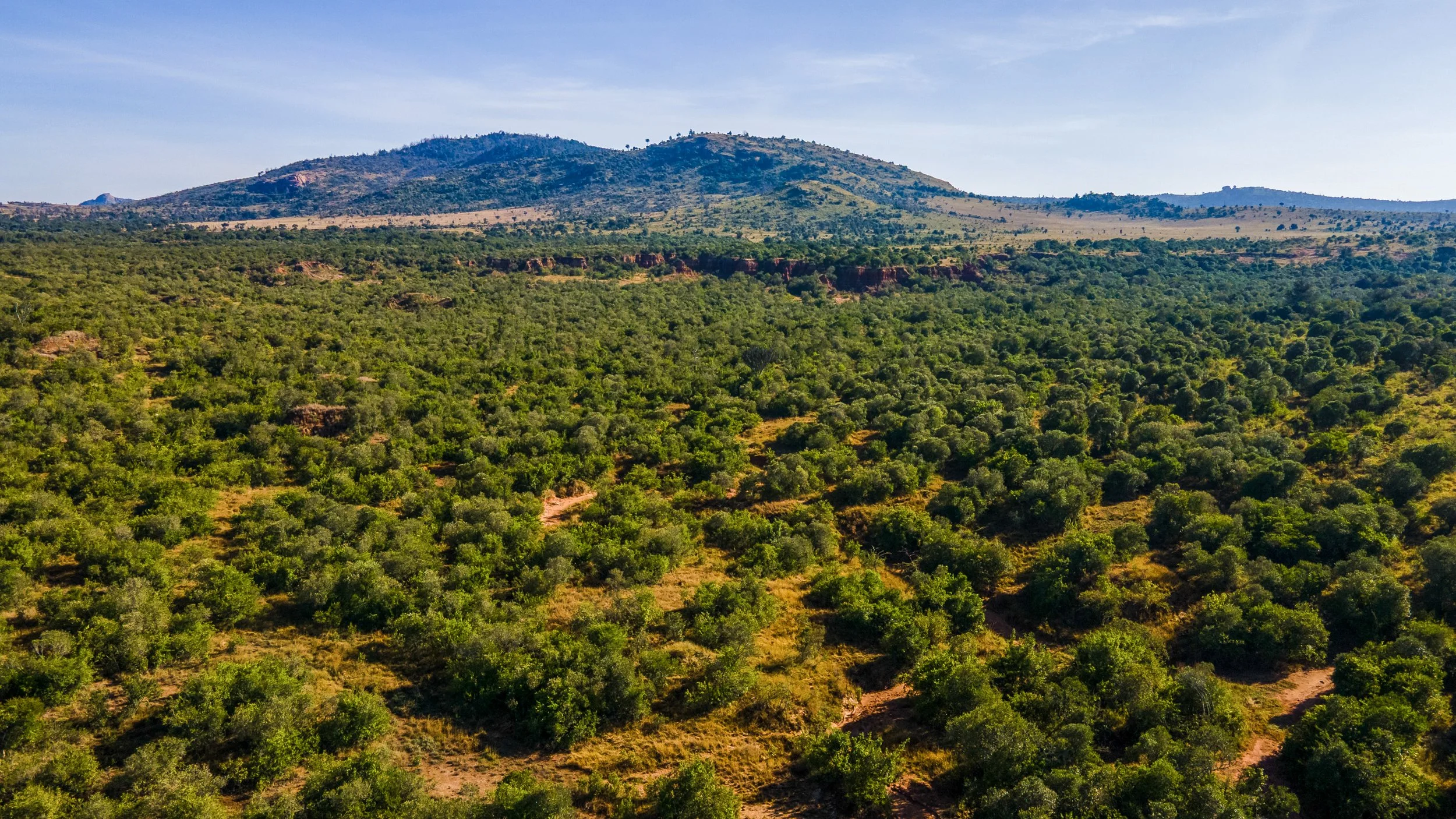 DJI_0216.jpg
