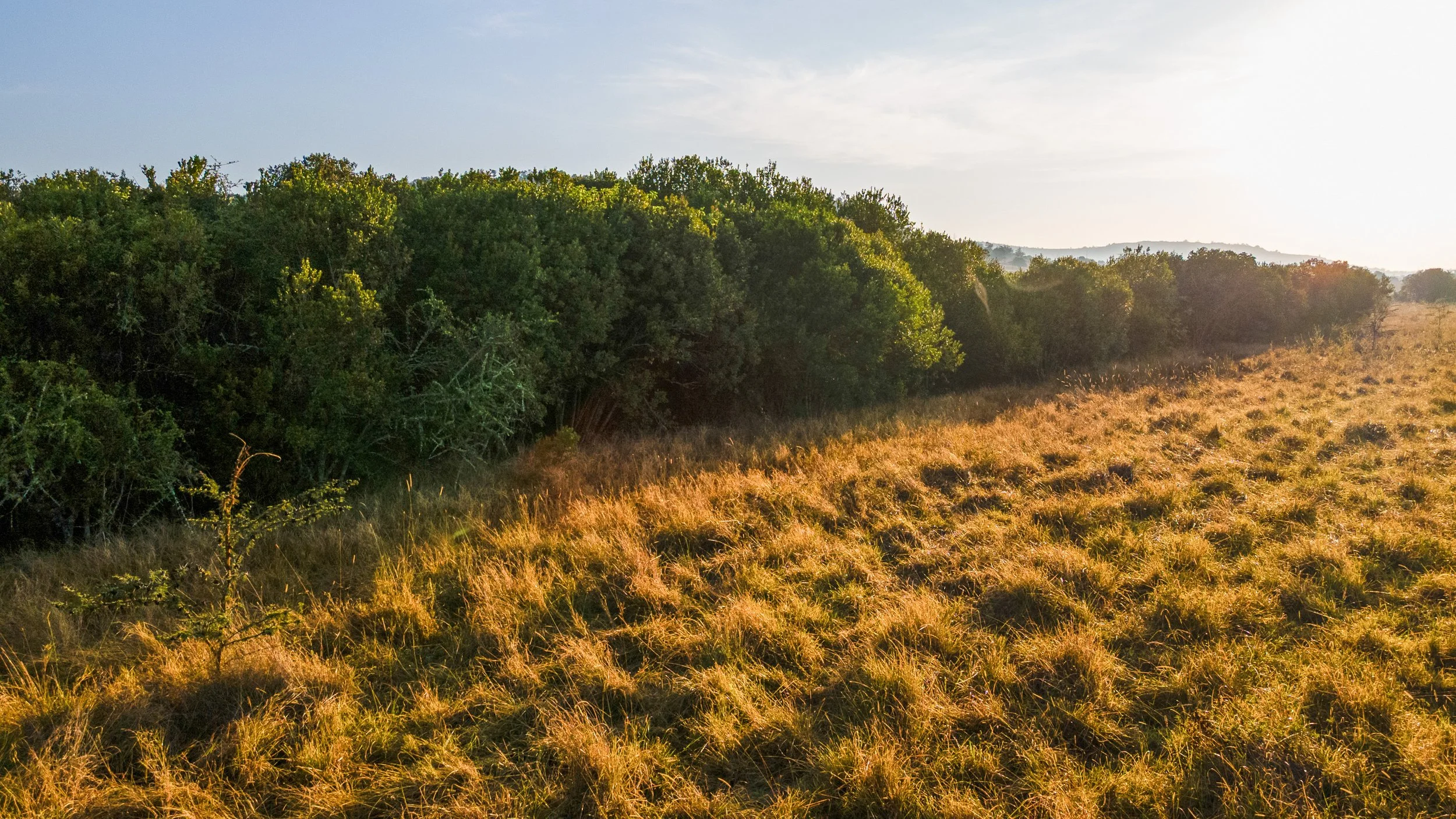 DJI_0040.jpg