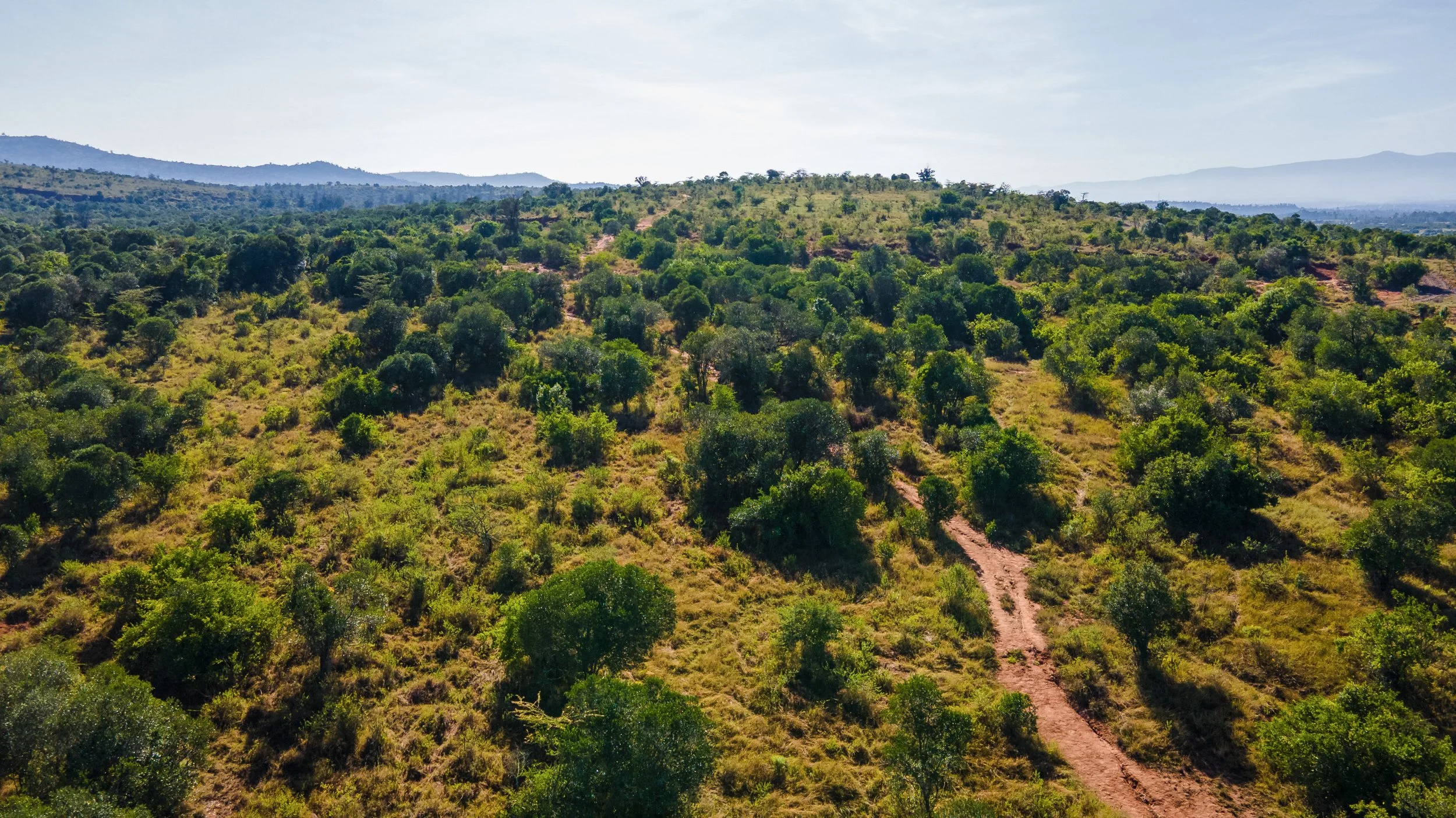 DJI_0307.jpg
