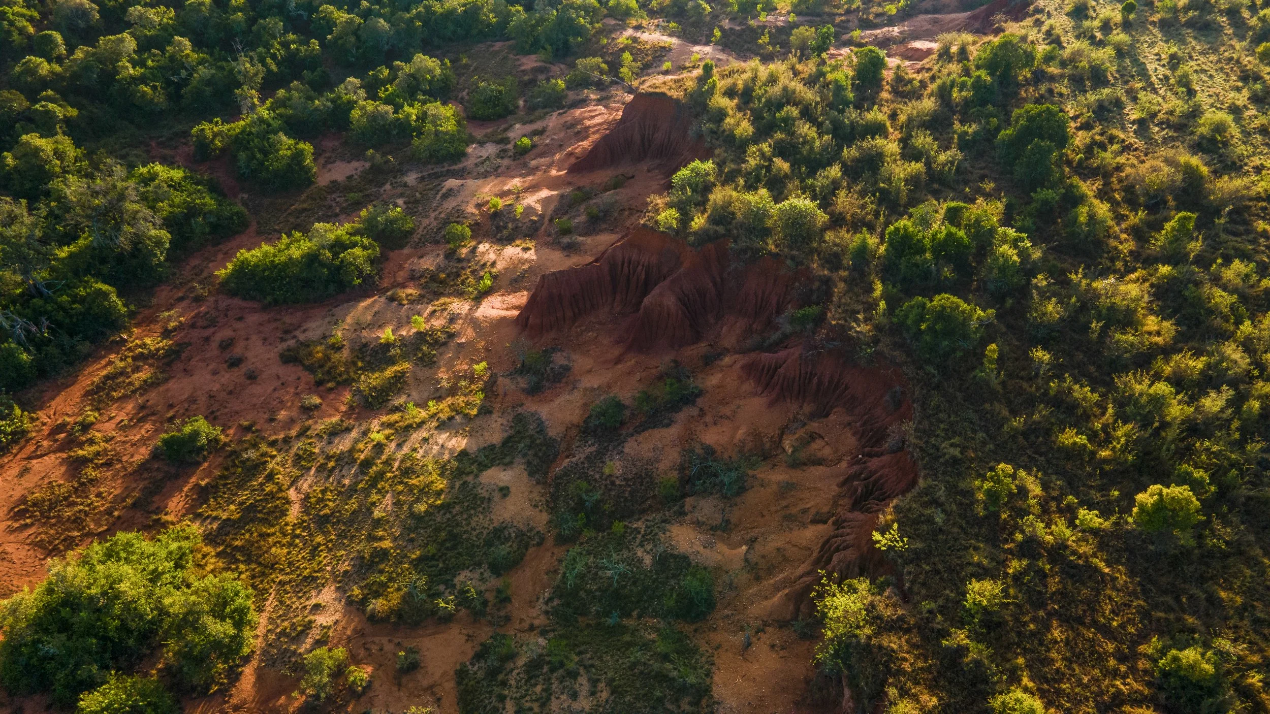 DJI_0161.jpg