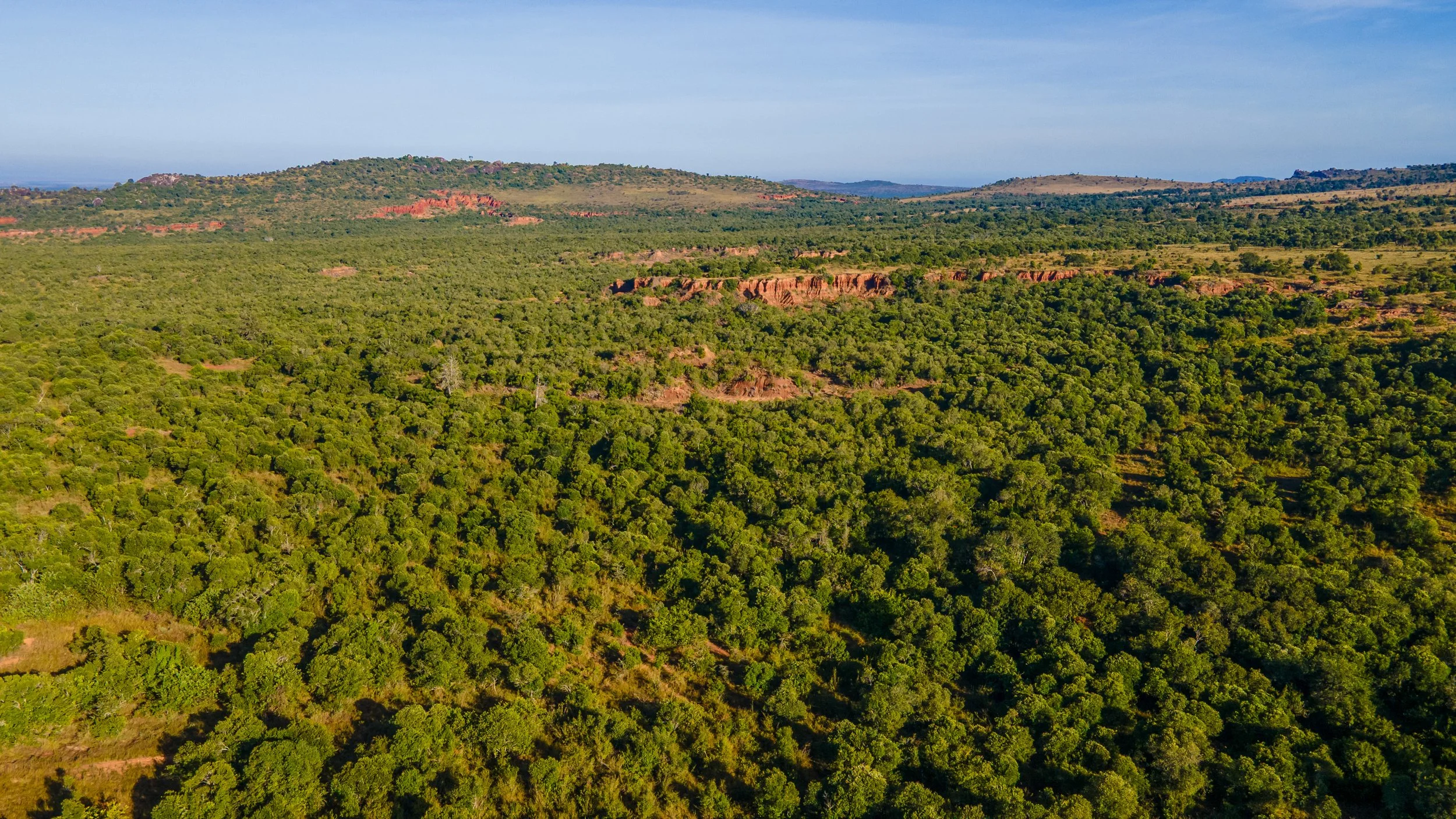 DJI_0187.jpg