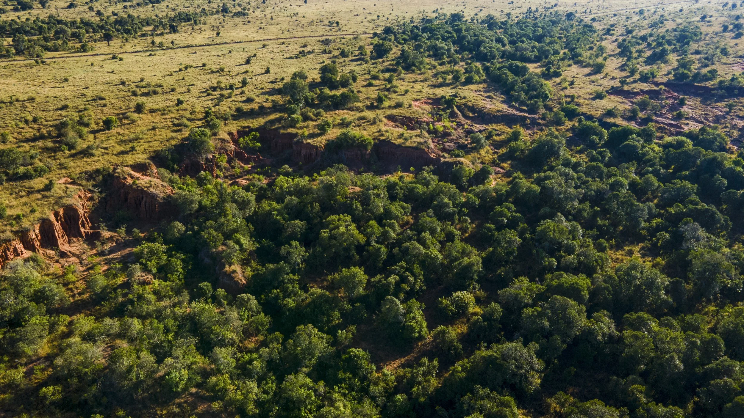 DJI_0205.jpg