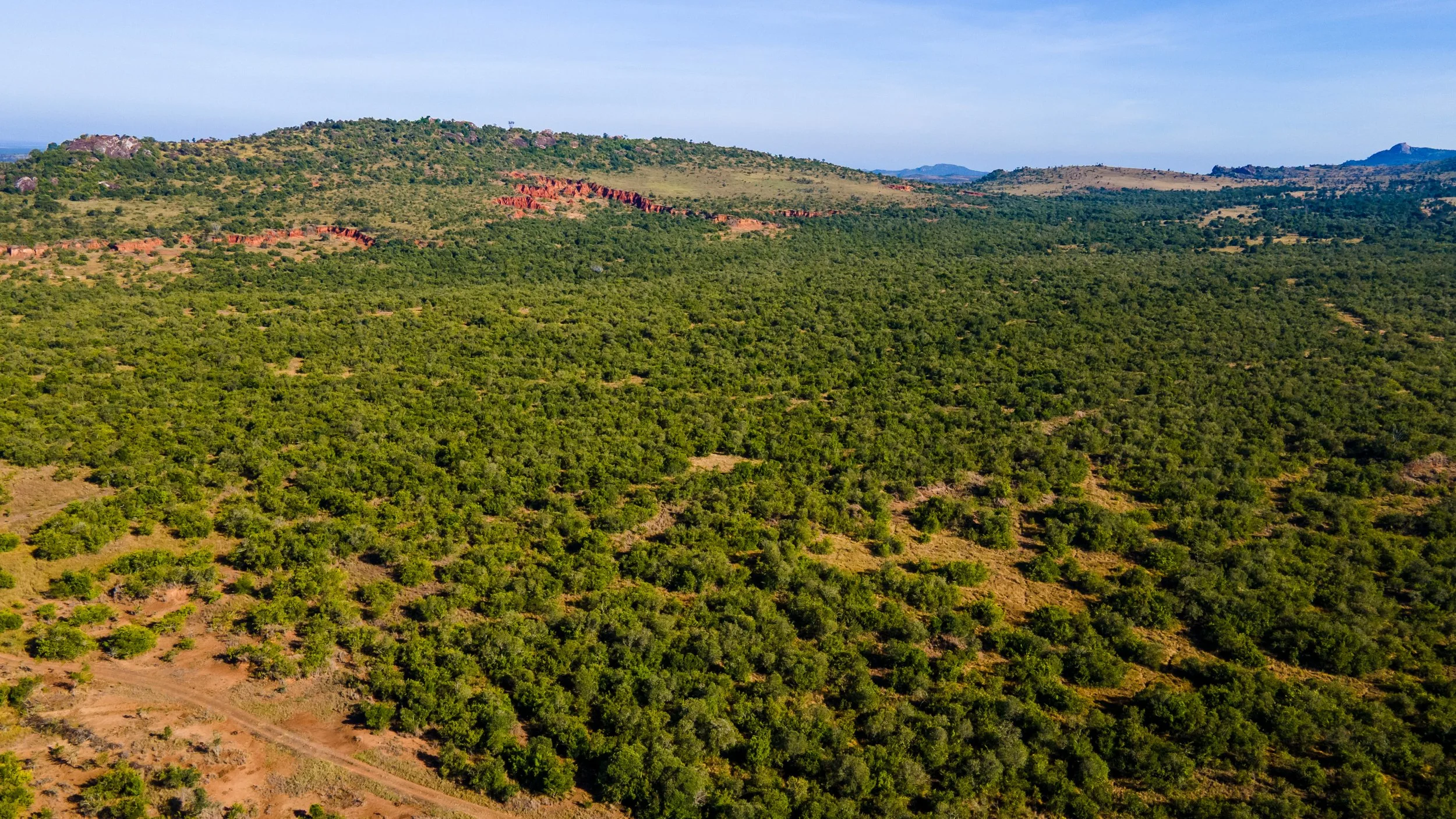 DJI_0235.jpg
