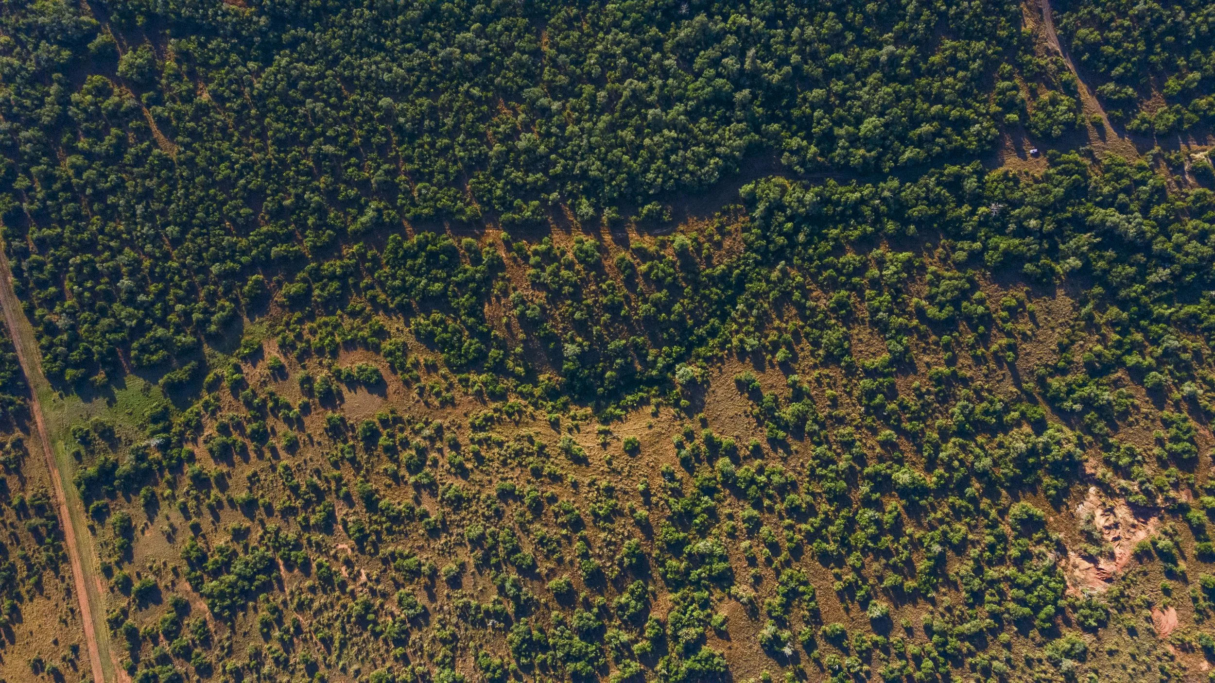 DJI_0114.jpg
