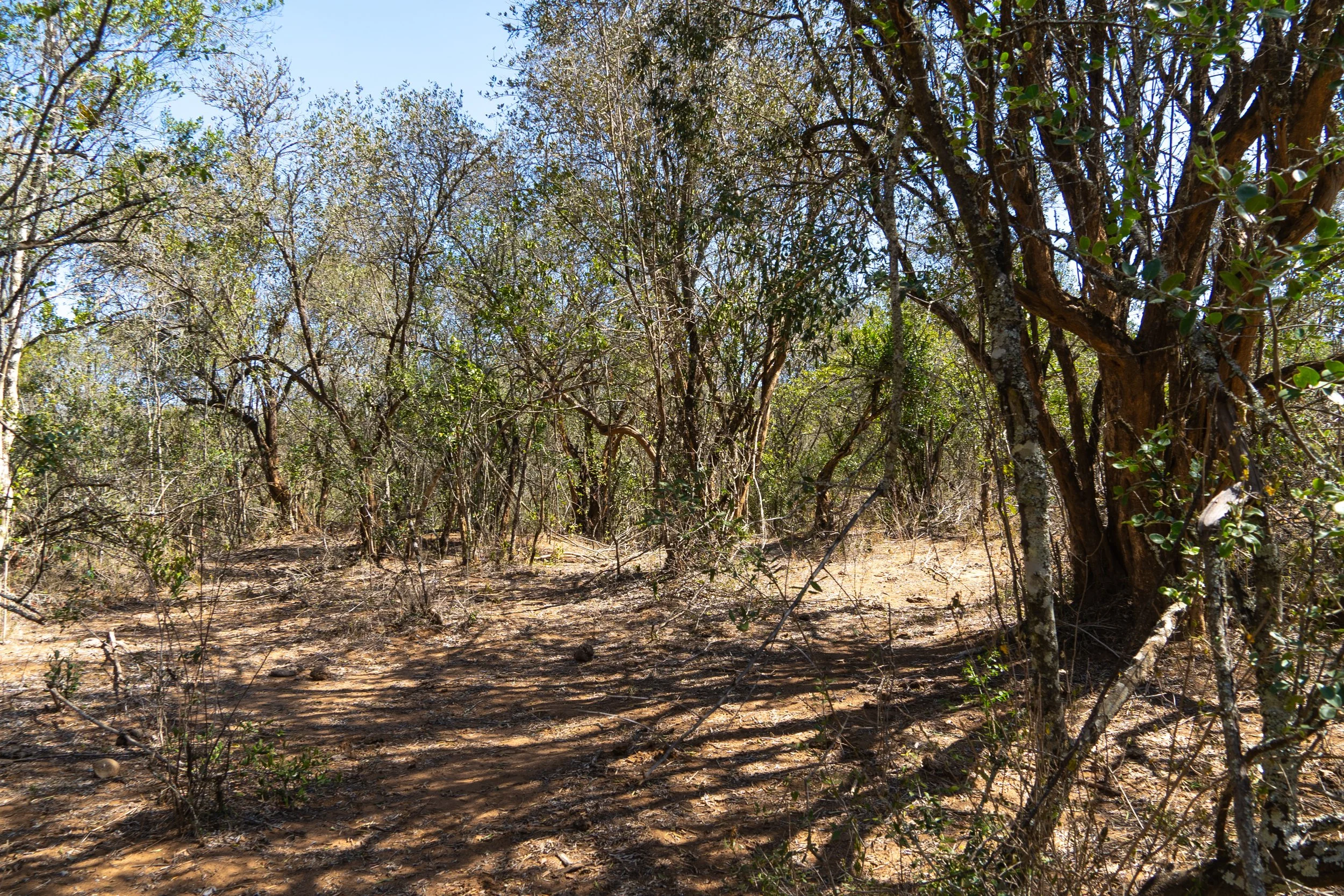 DSC05589.jpg