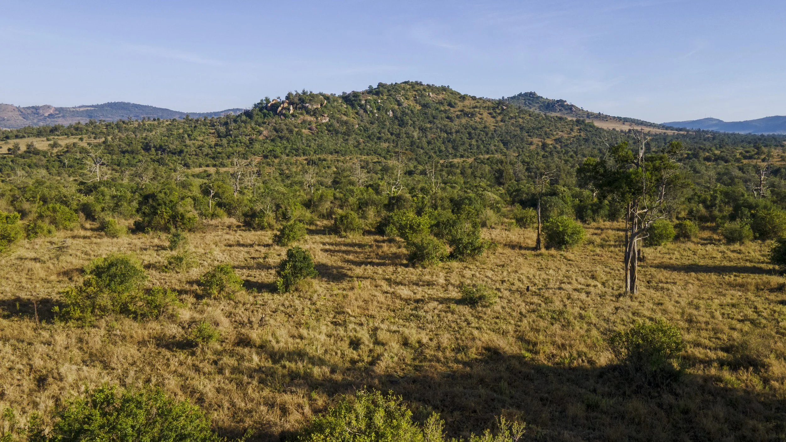 DJI_0485.jpg