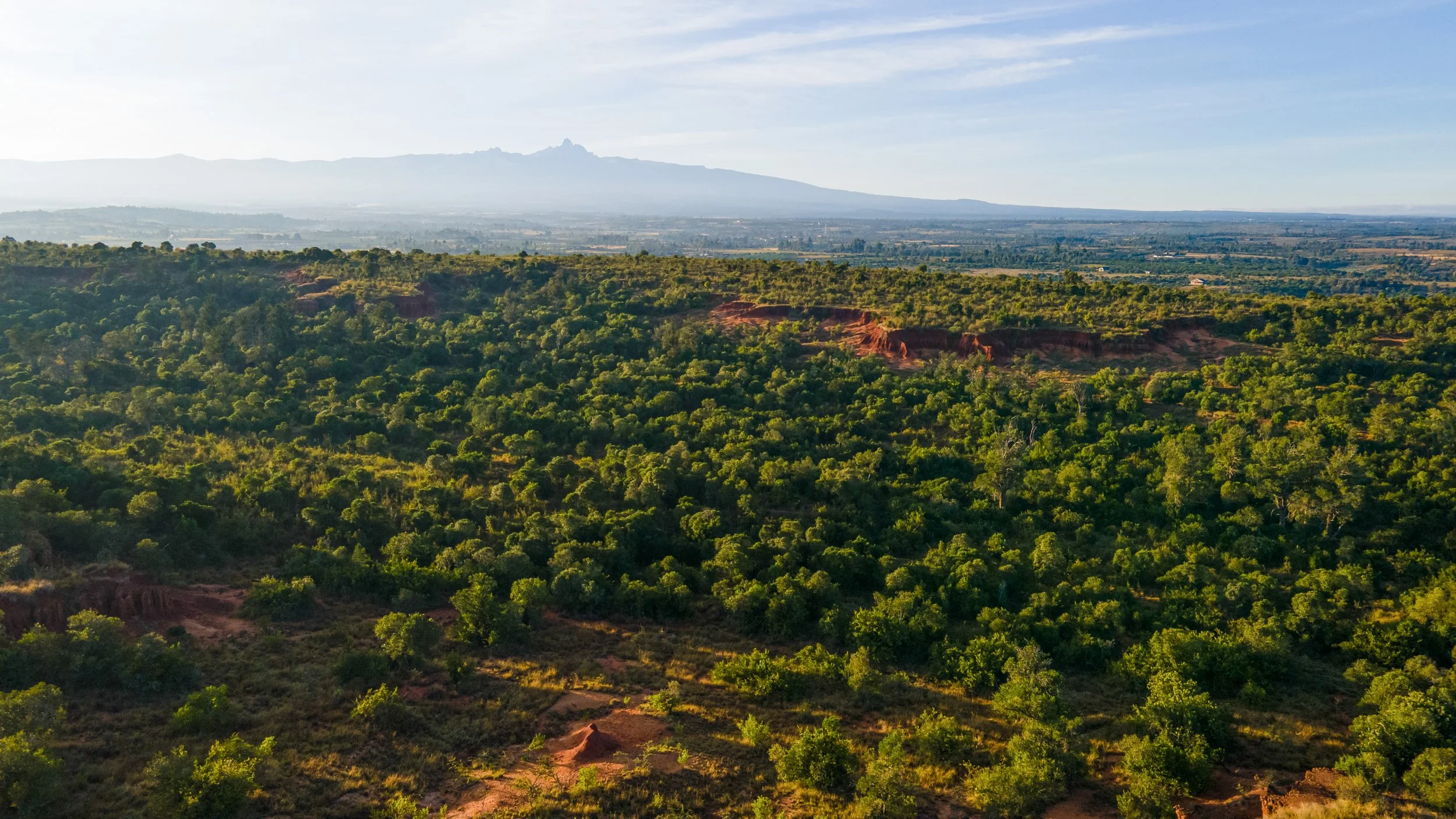 DJI_0145.jpg