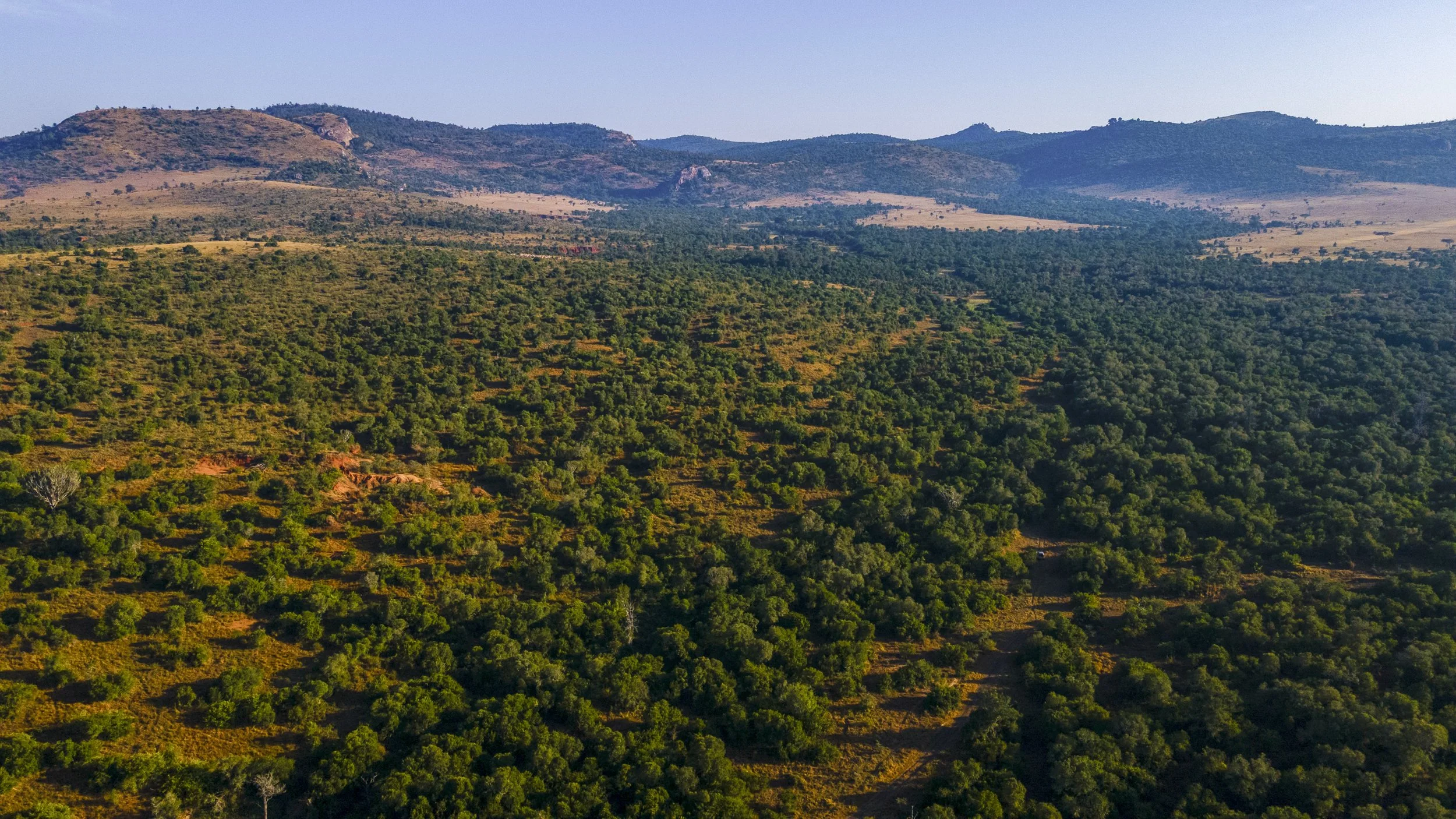 DJI_0077.jpg