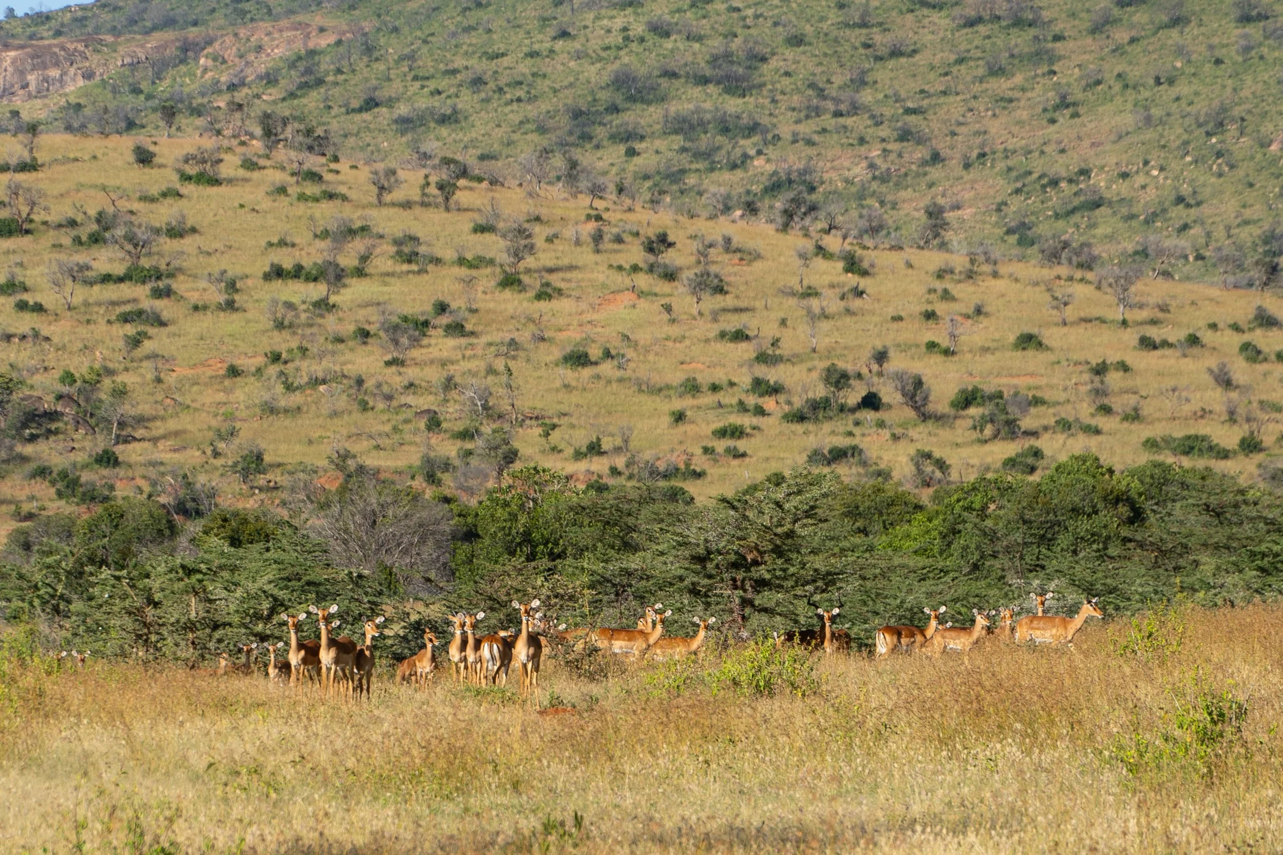 DSC09846.jpg
