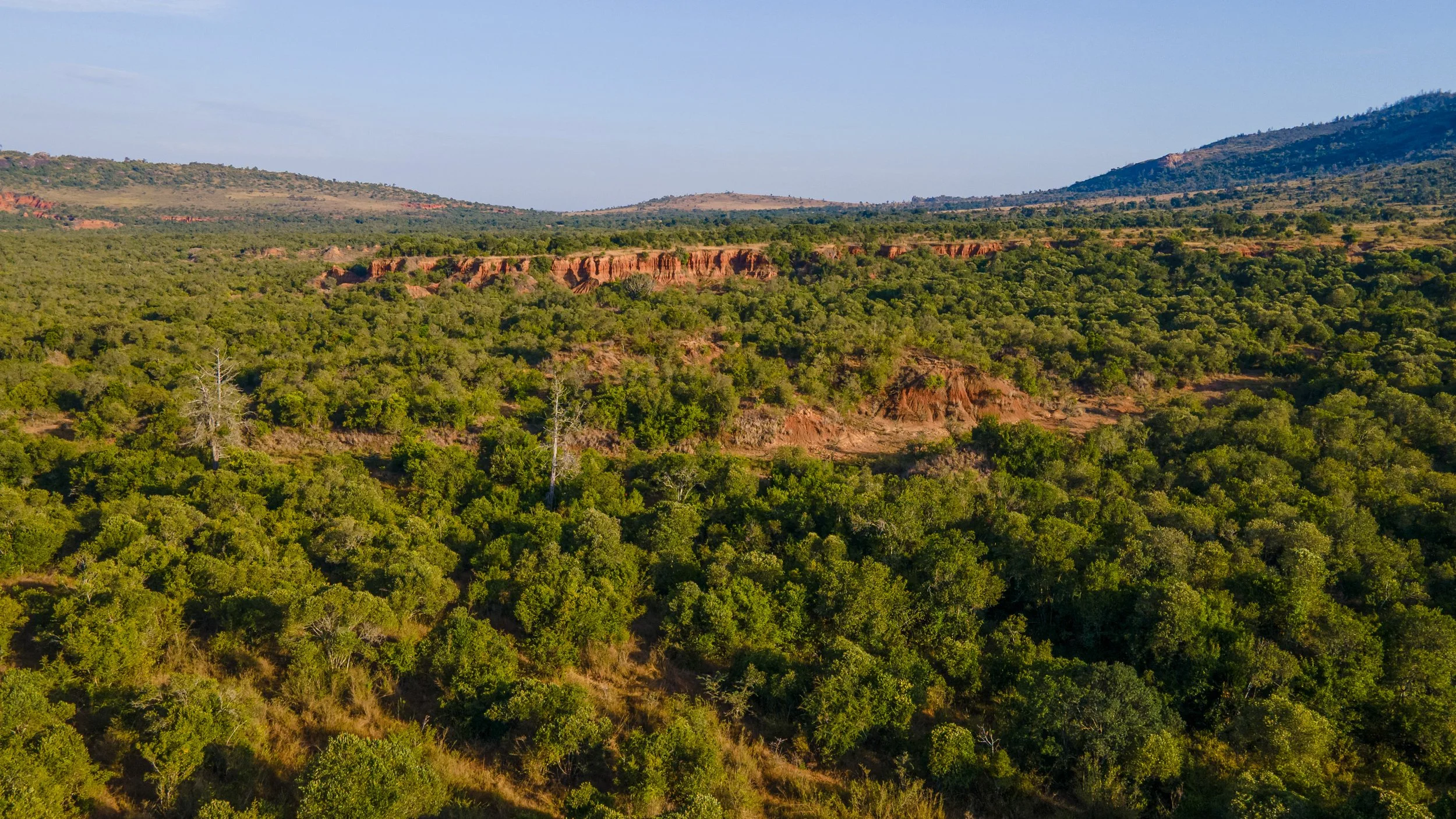 DJI_0708.jpg