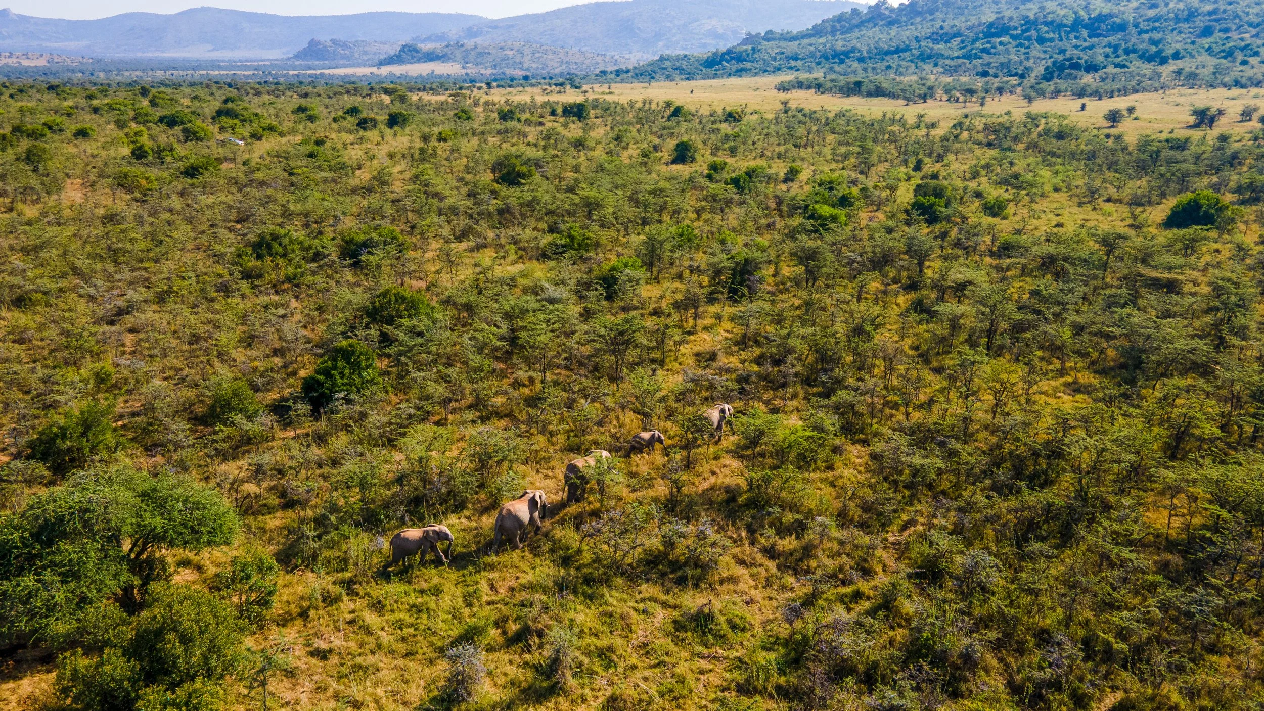 DJI_0927.jpg